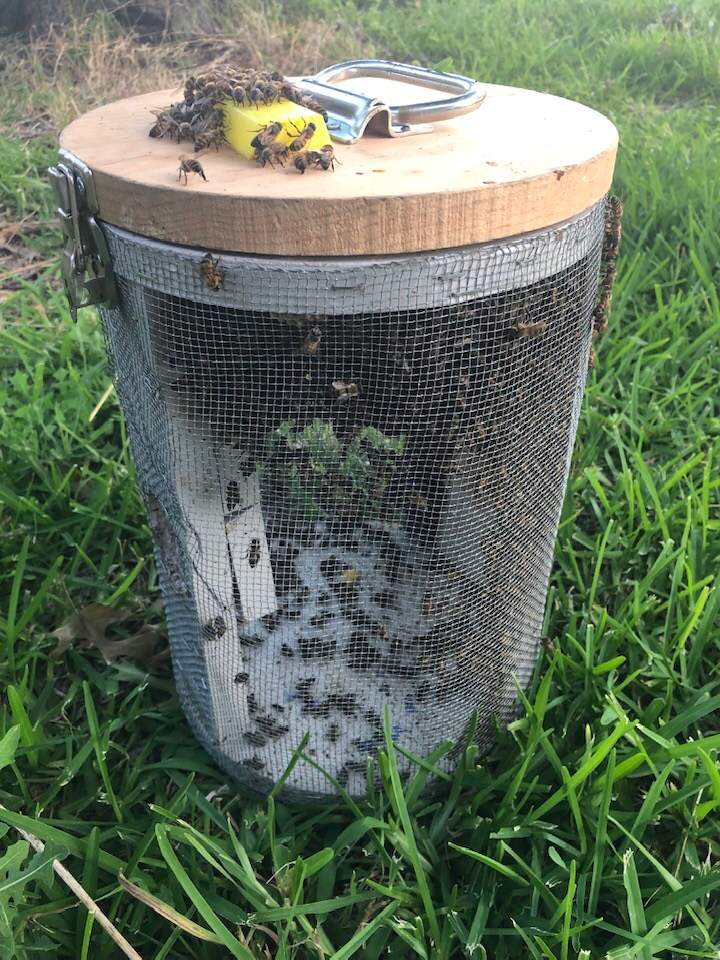 Porch by Rockwall Honey Bee Company