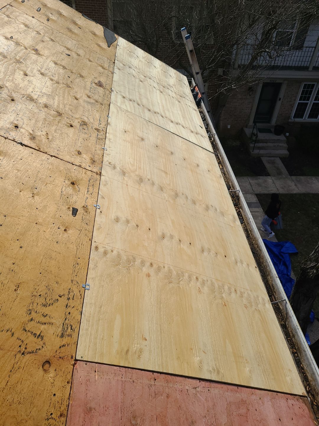 Burke CertainTeed Landmark Pro Roof in Max Def Espresso by RM Banning, Inc.