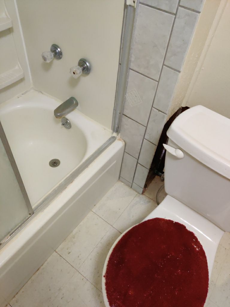 Mold Remediation in Basement by Accountable Home Services