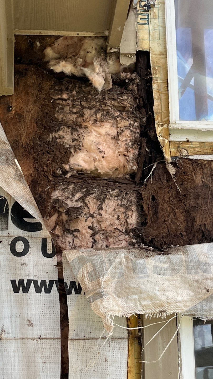 Poorly installed Windows WILL Destroy a home! by Bayfront Roofing and Construction