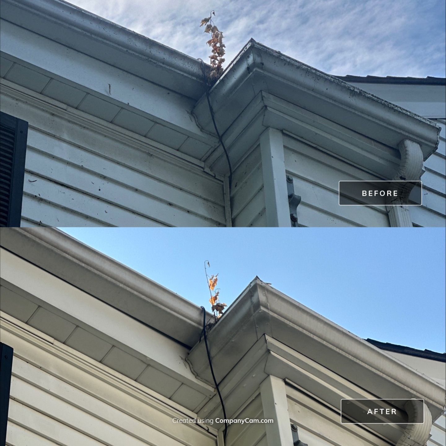 Project in Winnetka by Simmons Power & Soft Washing