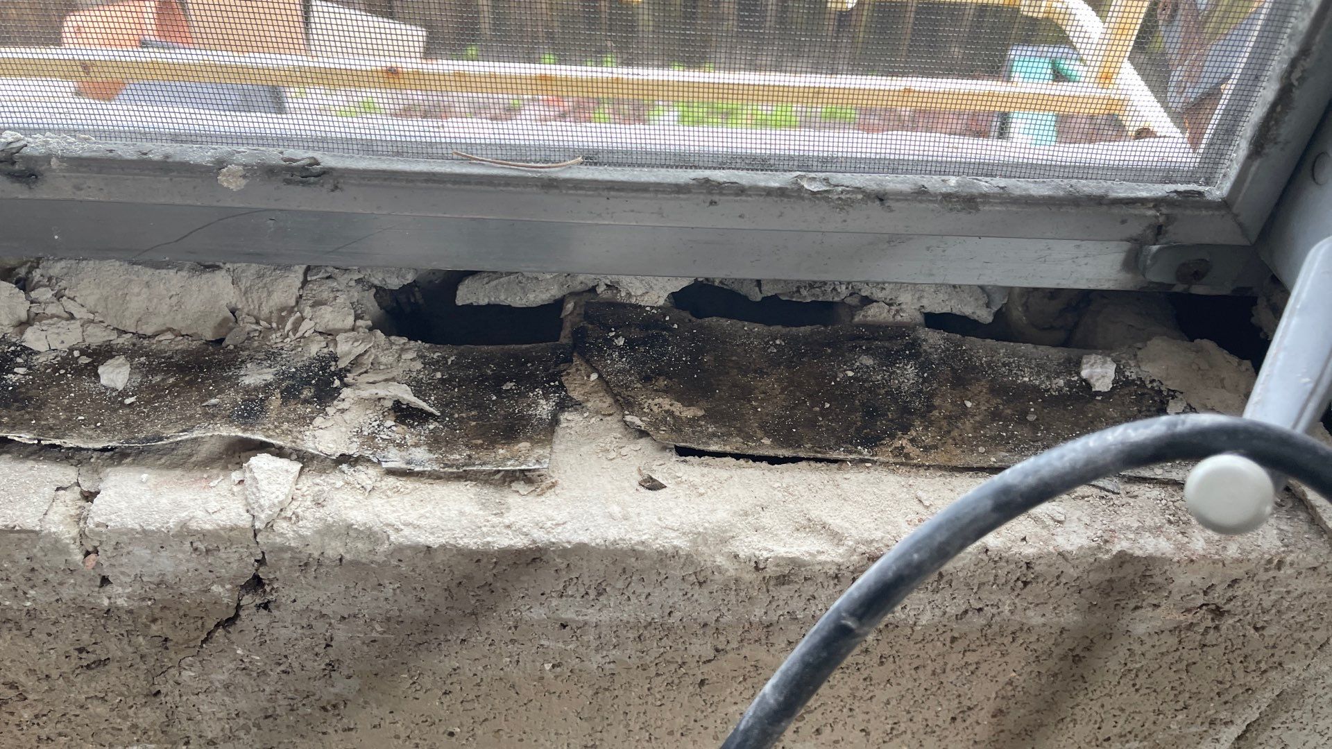 Mold Remediation  by THE RAPID TEAM