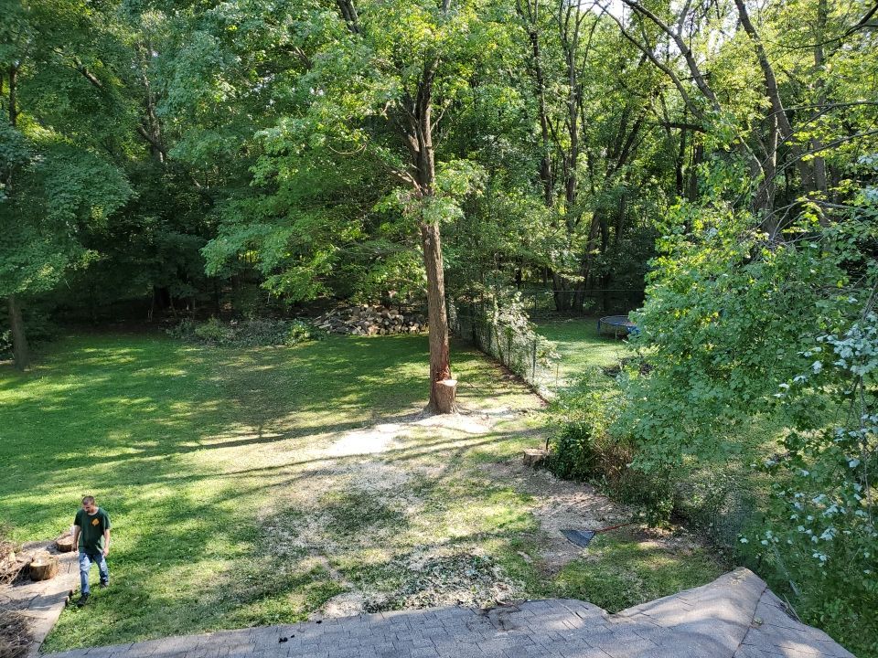 Storm Damaged Tree Removal  by Mike Jones & Sons Tree Service LLC 