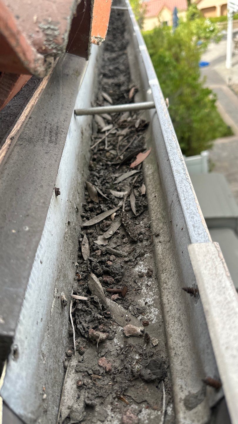 Mission Viejo Gutter Cleaning by Property Cleaning Experts