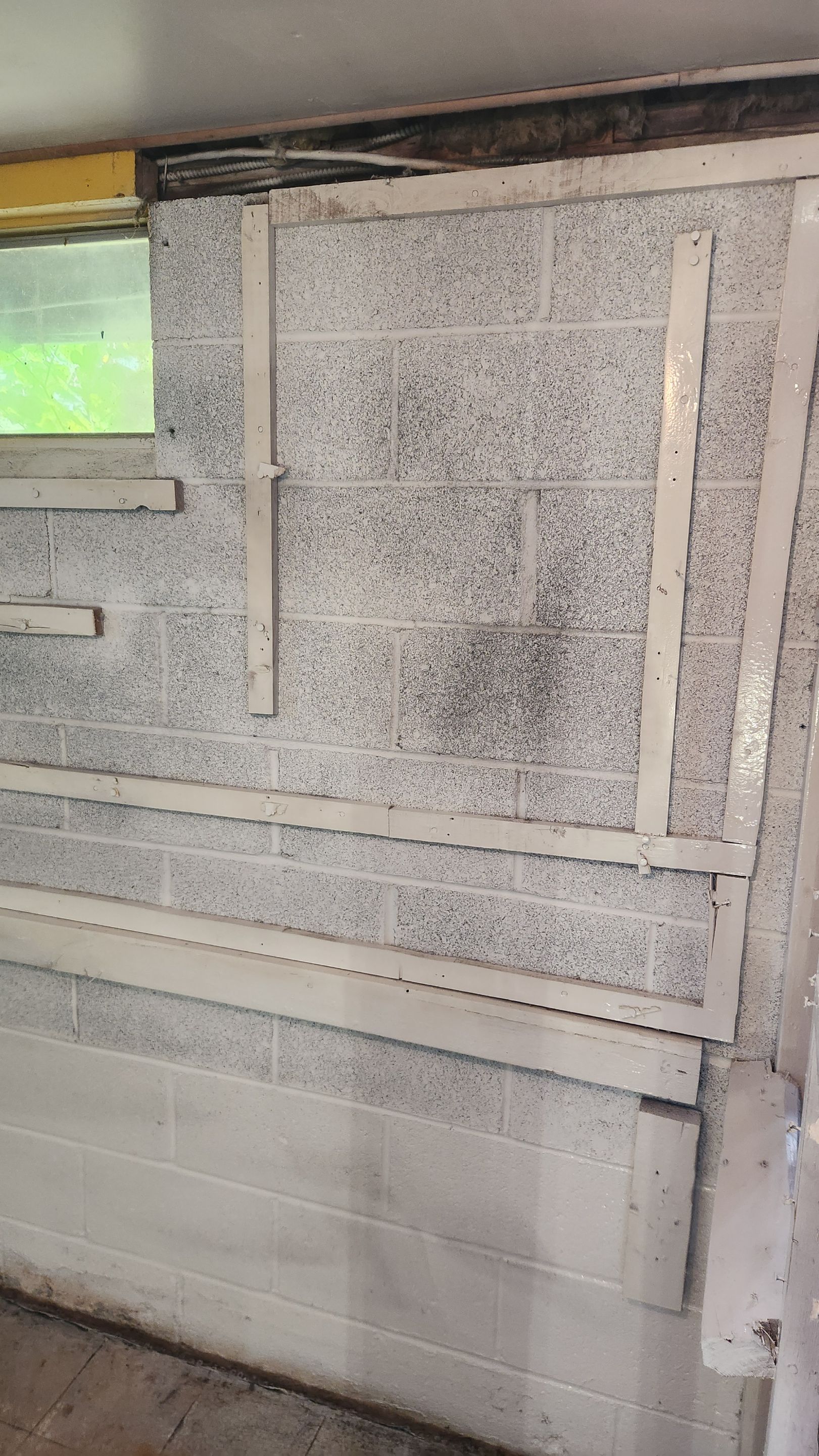 Interior French Drain & Mold Remediation Project in Manville, New Jersey by Pure Service Pro, LLC 