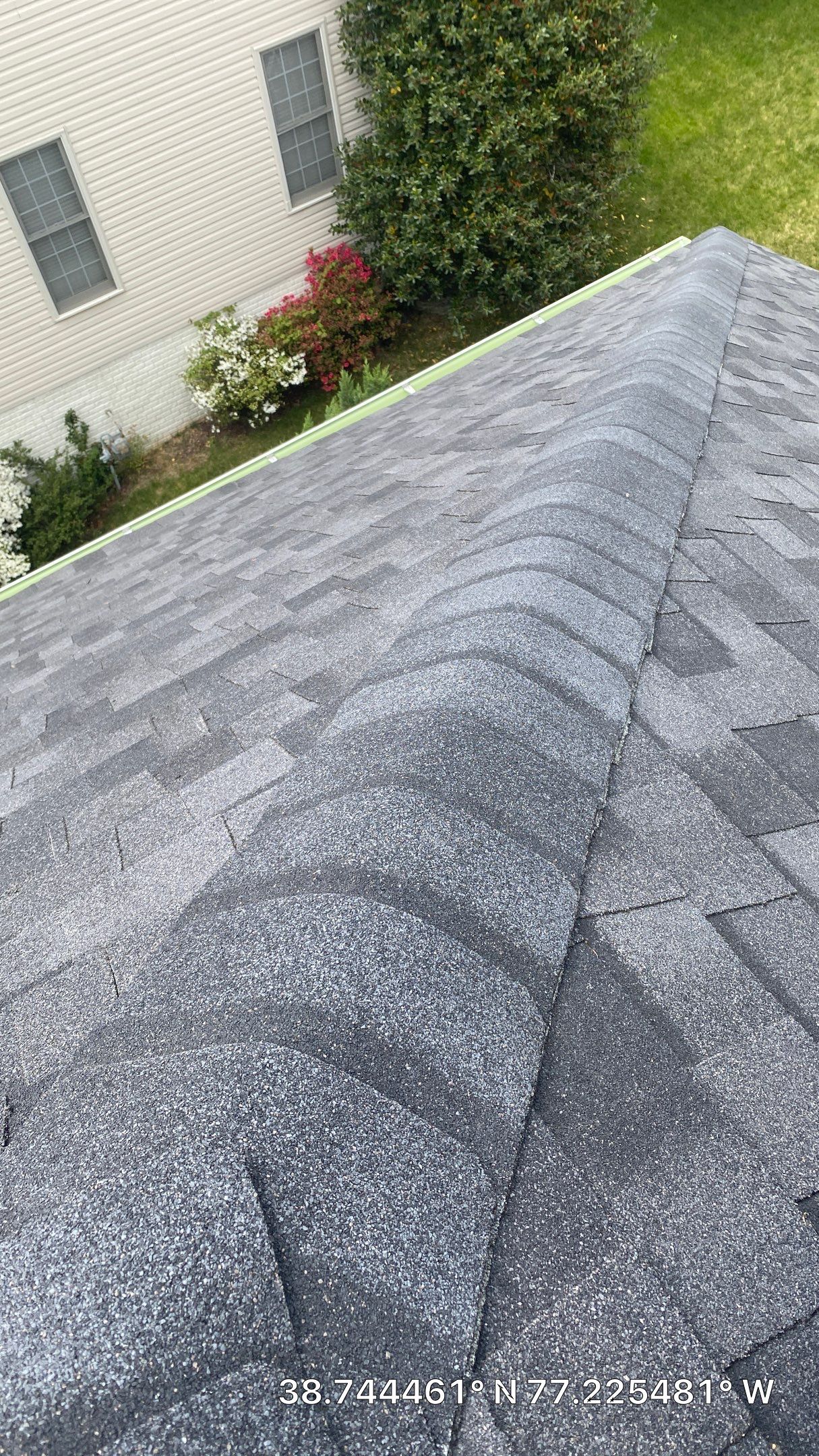 Springfield: CertainTeed Landmark Pro Designer Shingles in Max Def Moire Black by RM Banning, Inc.