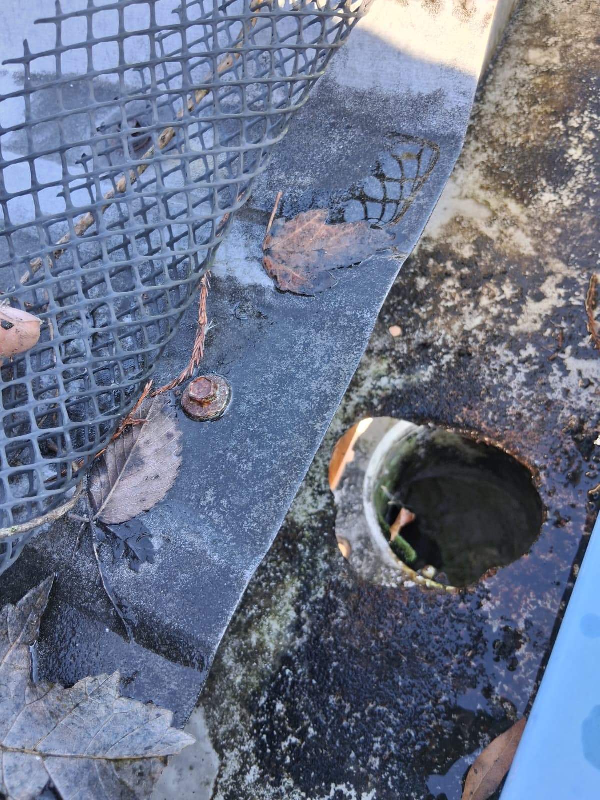 Clean Gutters and Seal Seams in Lakeland FL by Gutter Professors