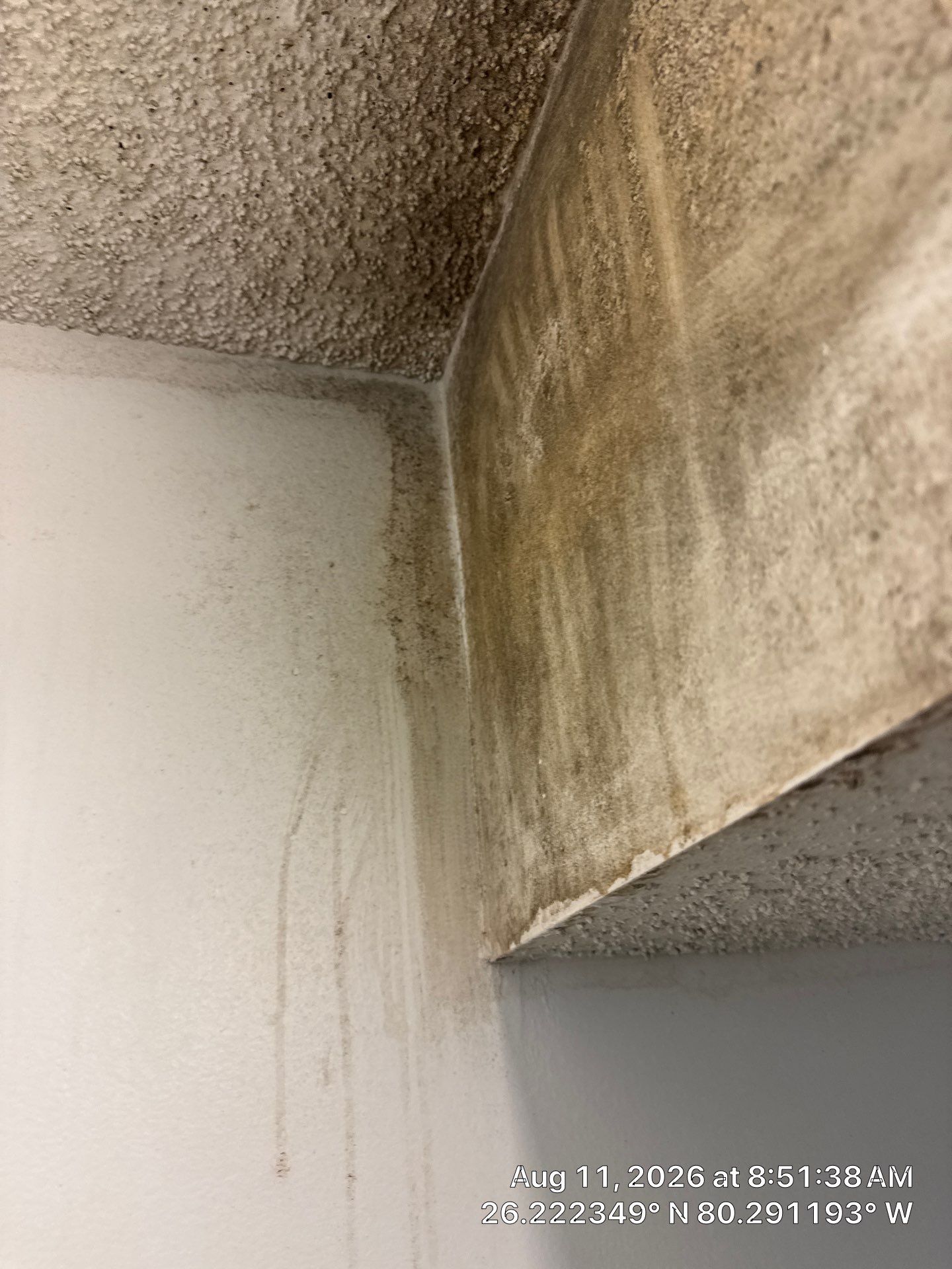 Comprehensive Mold Remediation and Moisture Control in Tamarac by SuperClean