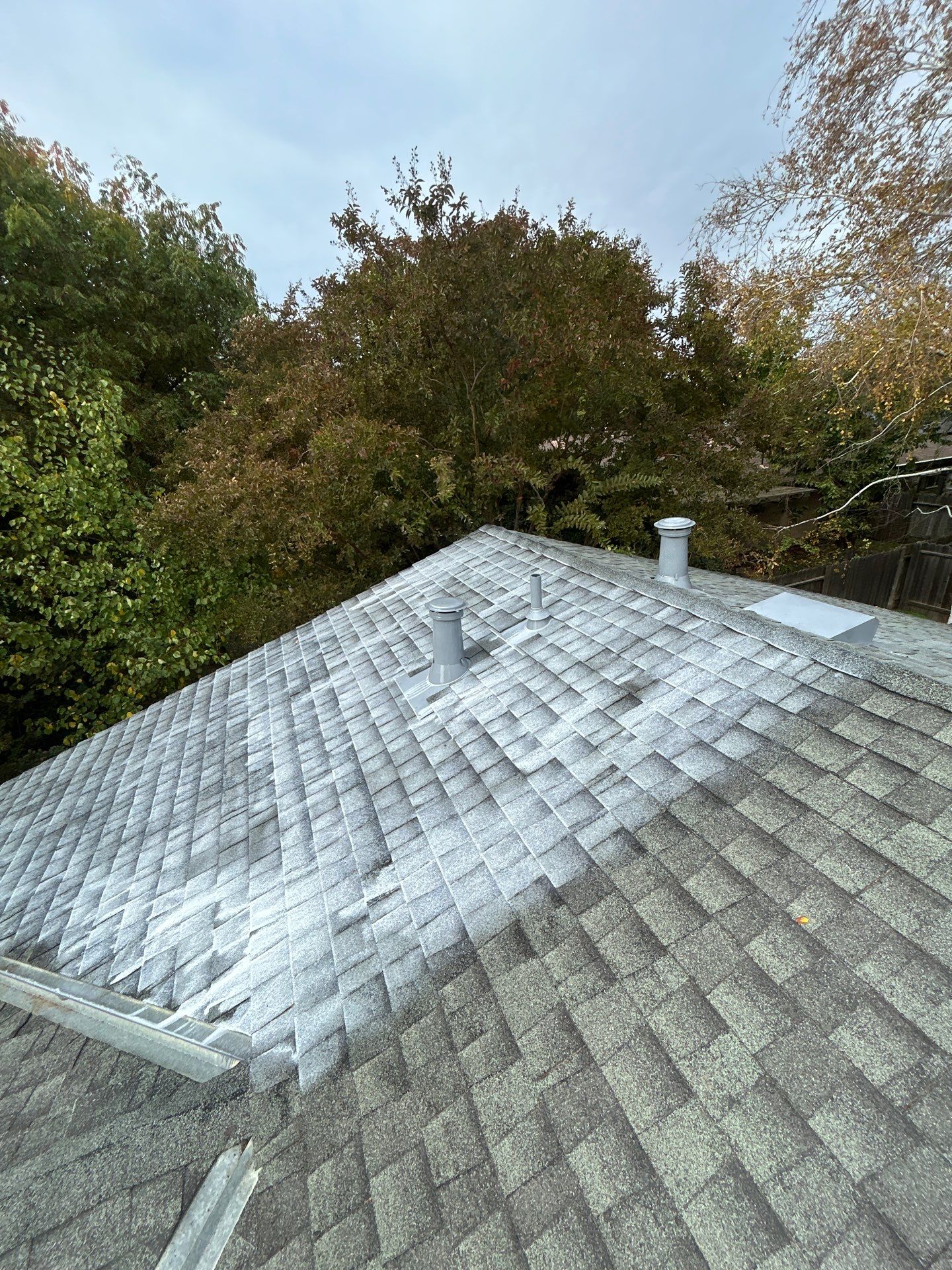 Roof Rejuvenation using Roof Maxx Treatment by Roof Maxx of Folsom