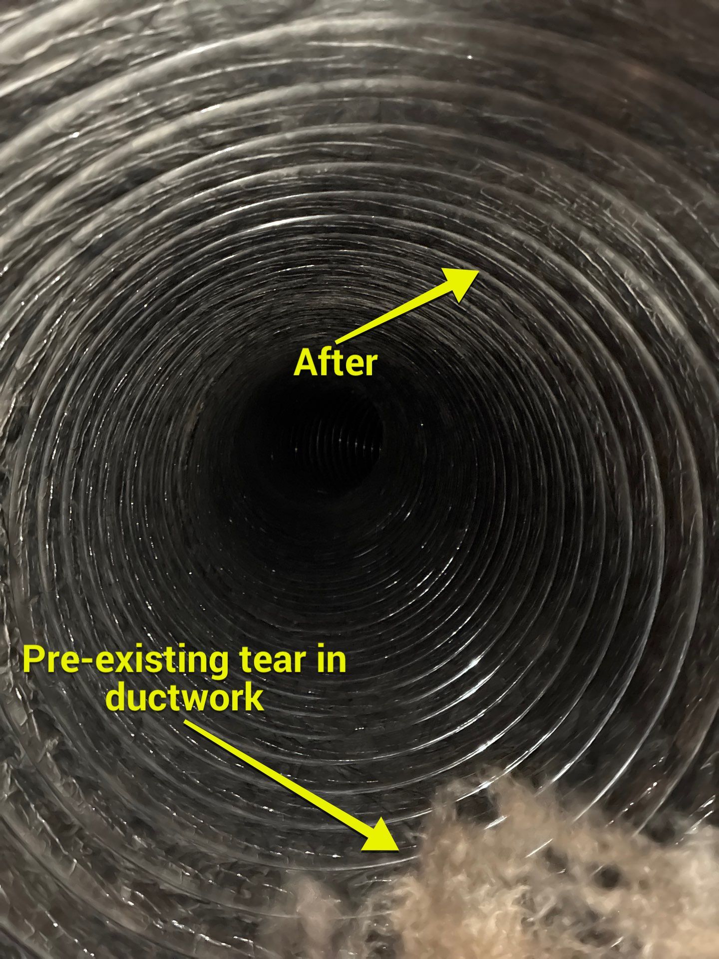 Air Duct Bath Fan Cleaning in Clermont by Hygienic Air, Inc