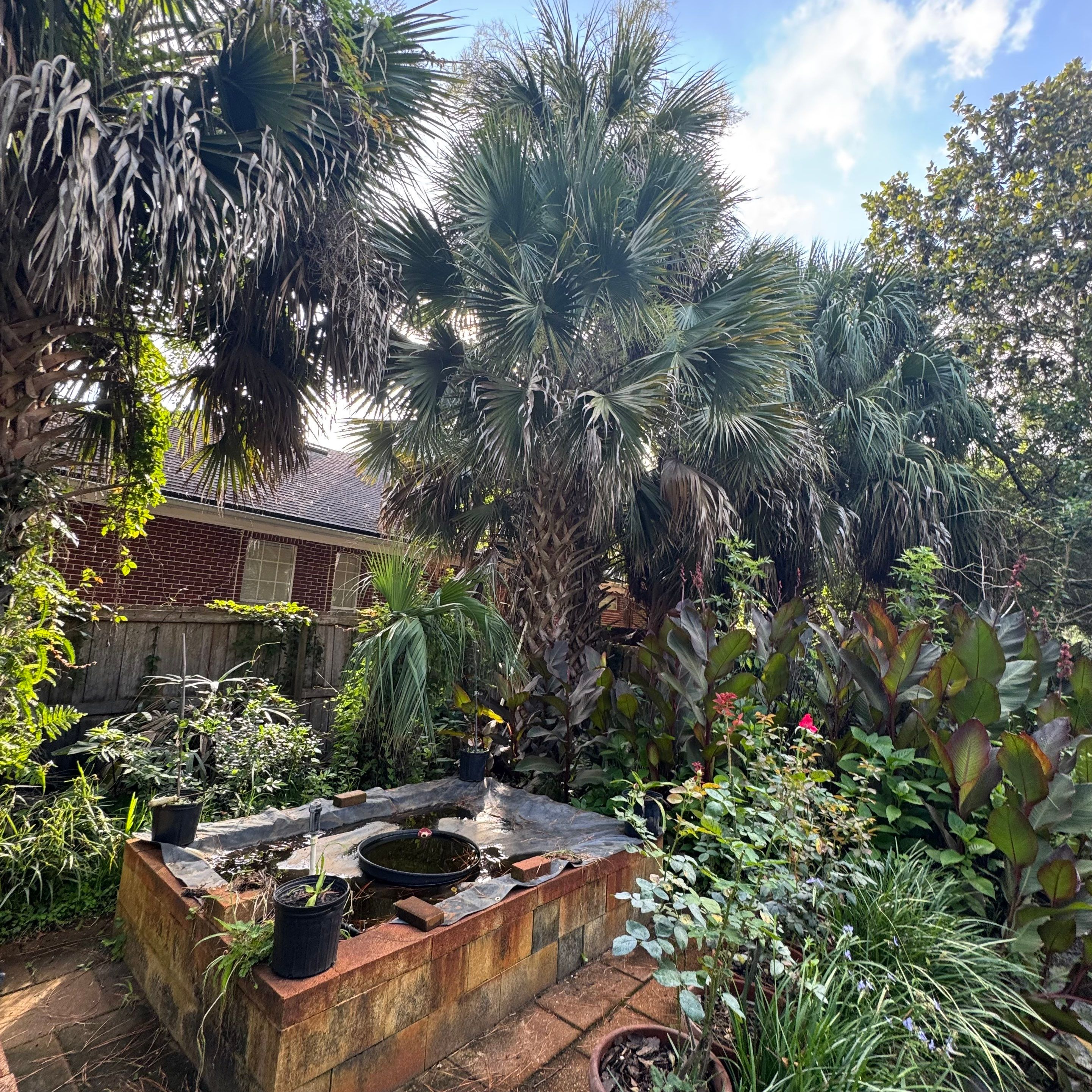 Deerwood Resident | Palm Tree Trimming & Booting by ProGreen Services