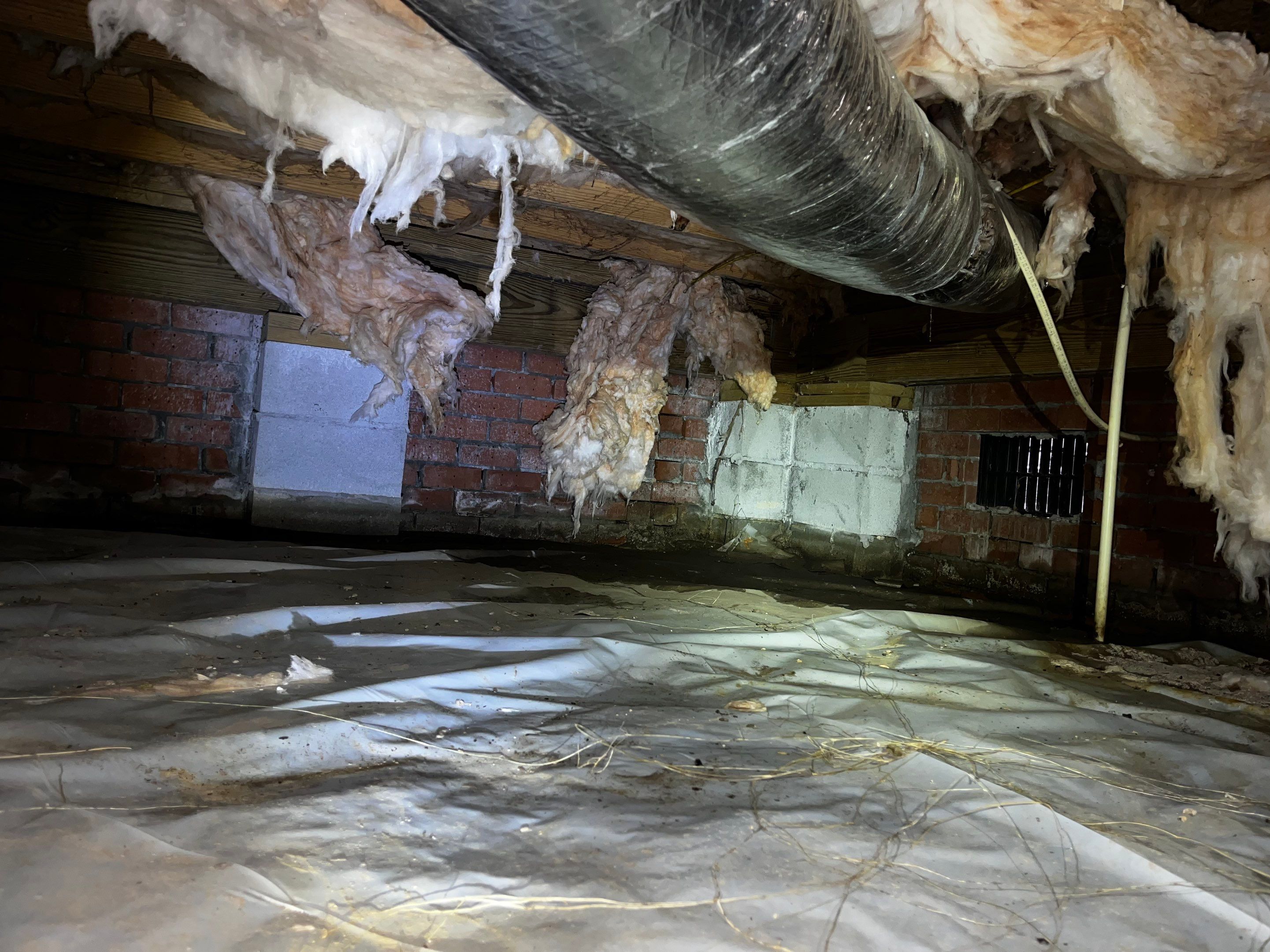 Impact Choice Encapsulation with French Drain and Crawlspace Doors by Impact Crawlspace