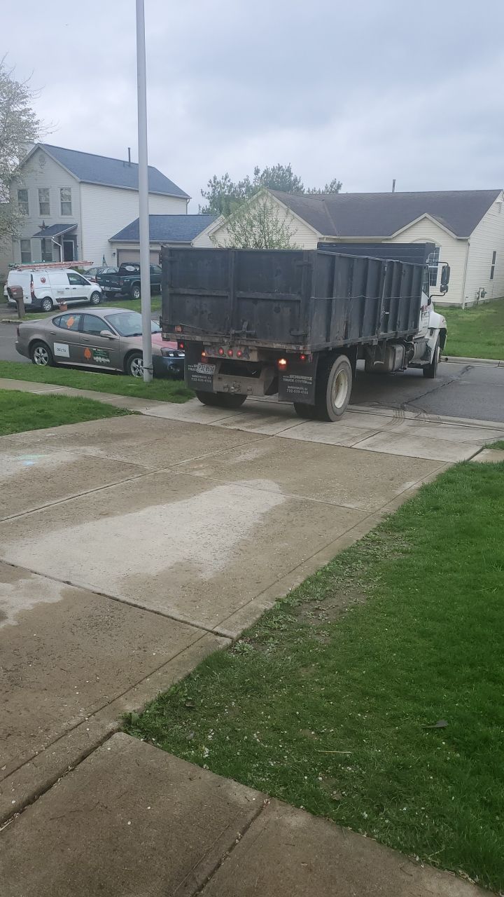 Tree Removal using Tree Removal by Mike Jones & Sons Tree Service LLC 