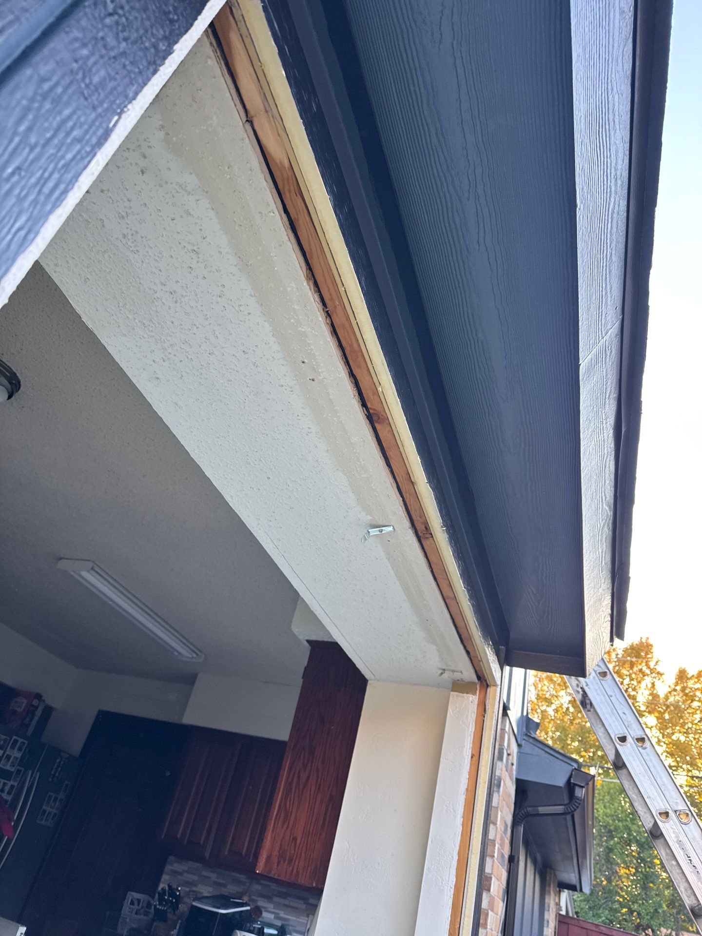 Windows and Exterior Paint by Rhino Roofing and General Contracting, LLC