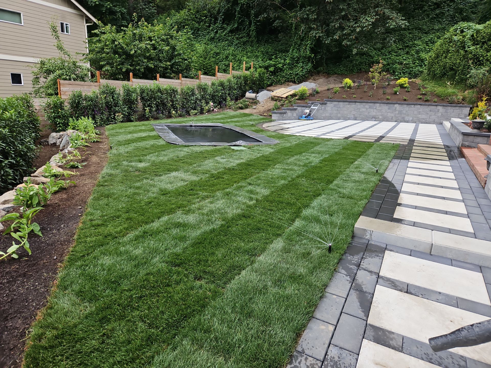 Maple Ave Renovation by Pacific Pine Landscape