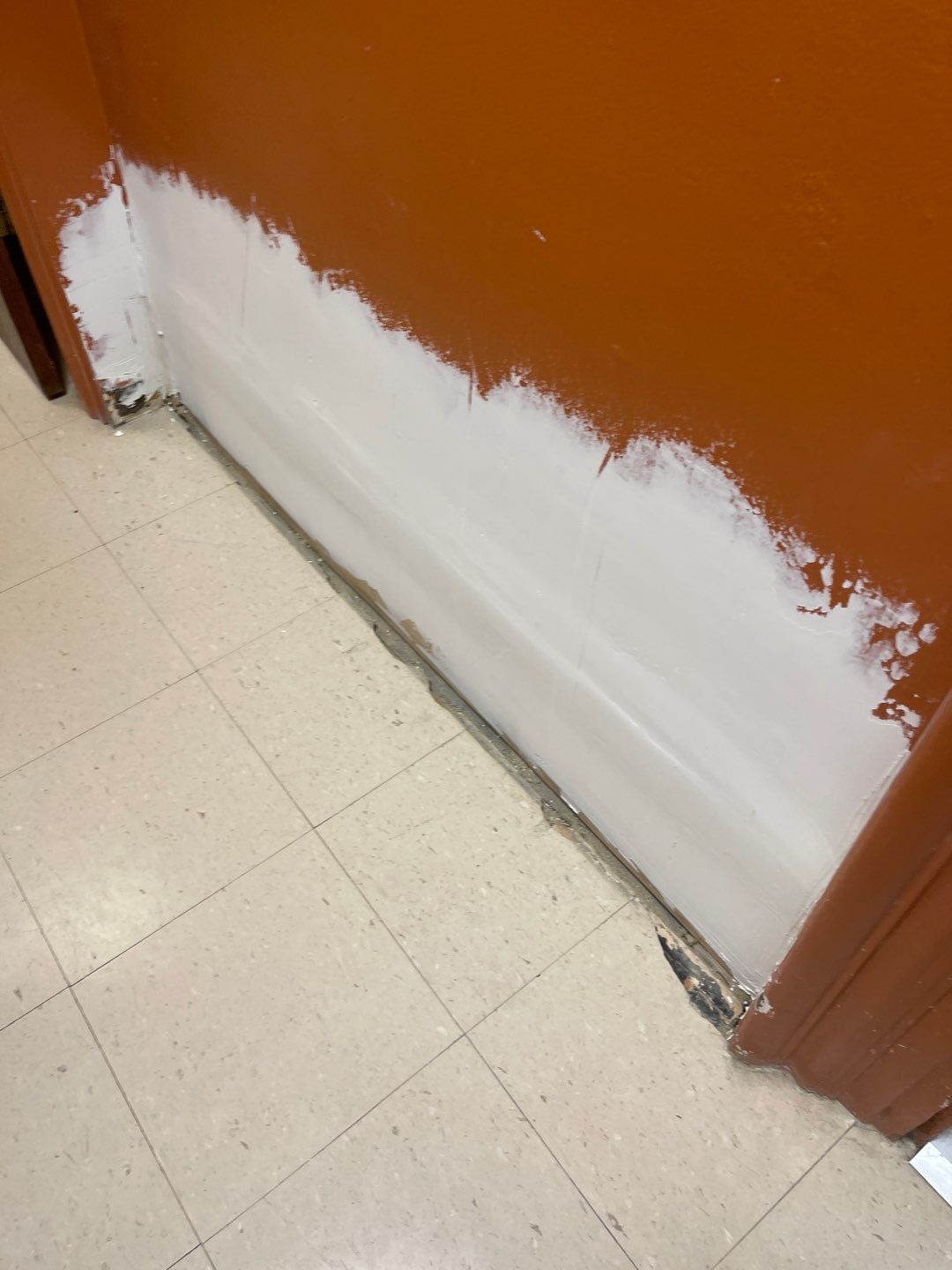 Cat Hospital Project in Pittsburgh by Floors in a Day, Inc