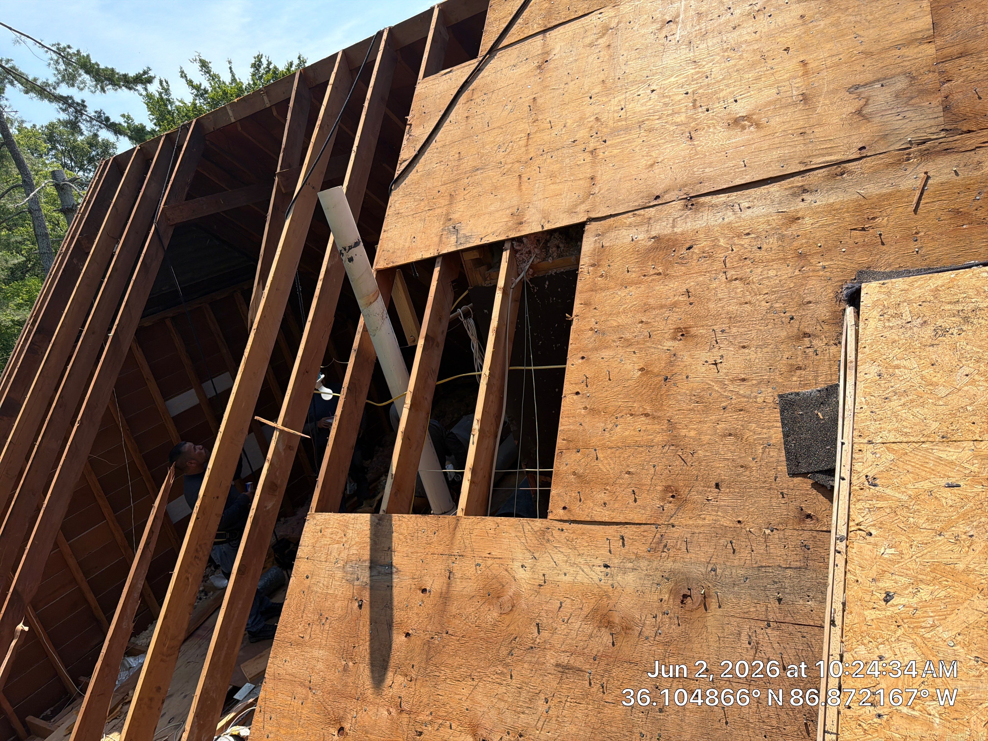 Roof Tree Damage- Repair Roof Framing and Replace Shingle Roof System In Belle Meade  by Roofworx 