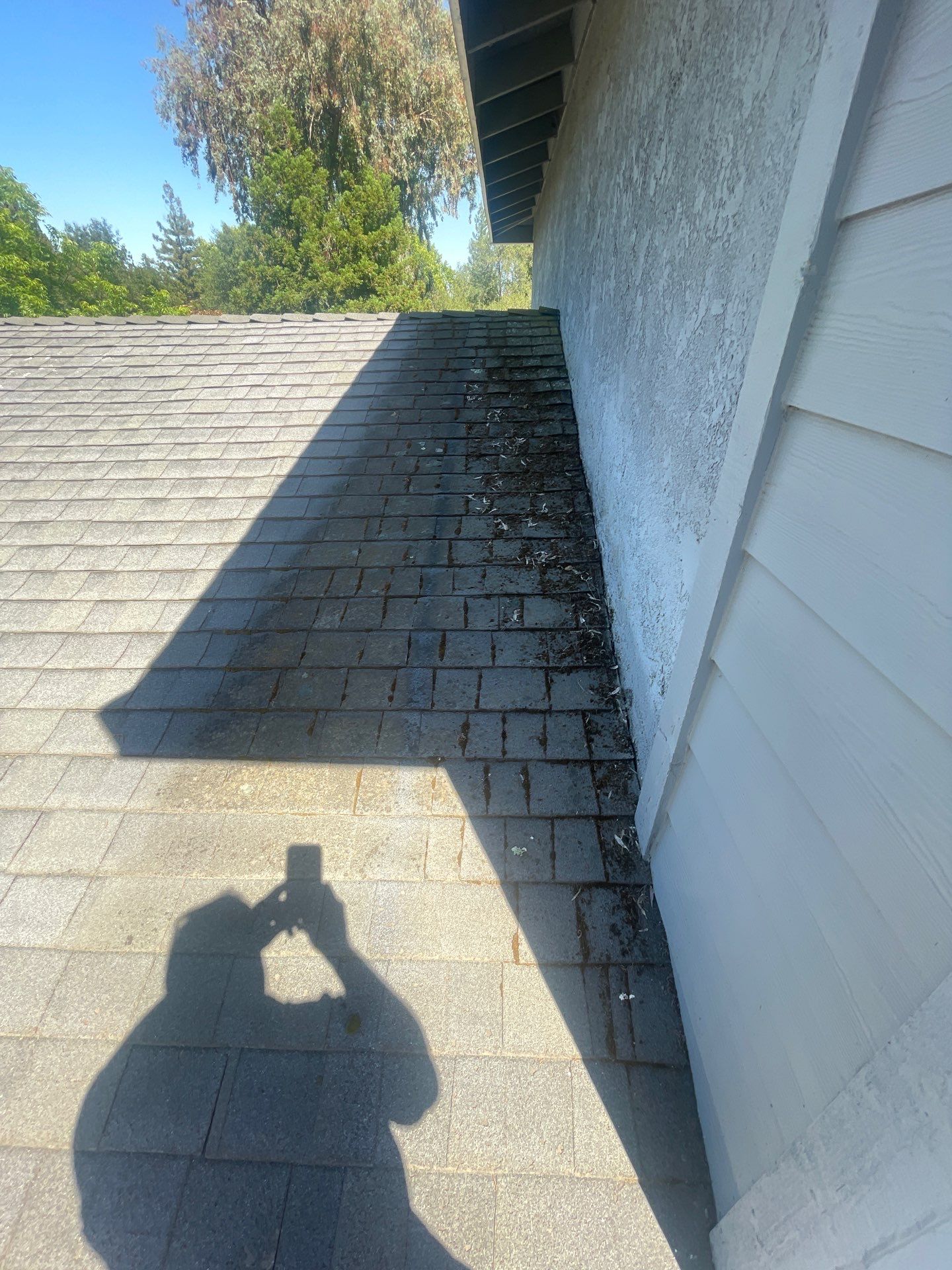 Roof Rejuvenation using Roof Maxx Treatment by Roof Maxx of Folsom