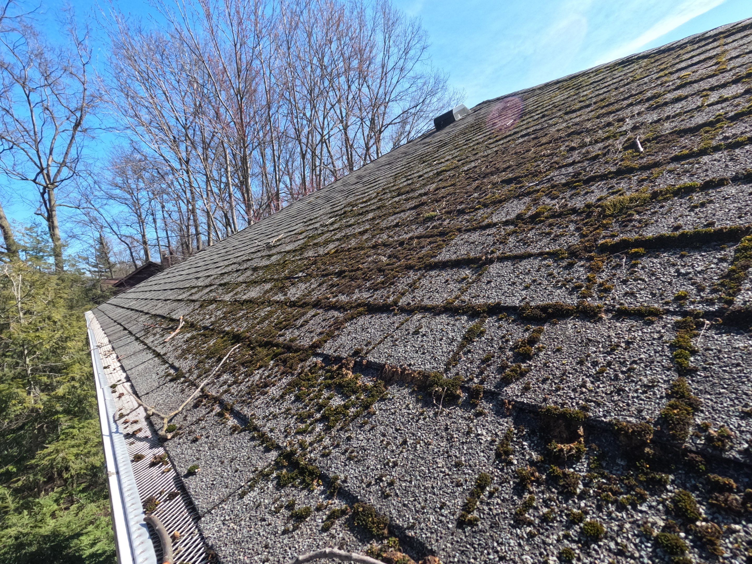 RoofoScope Inspection using RoofoScope by Absolute Roofing and Construction