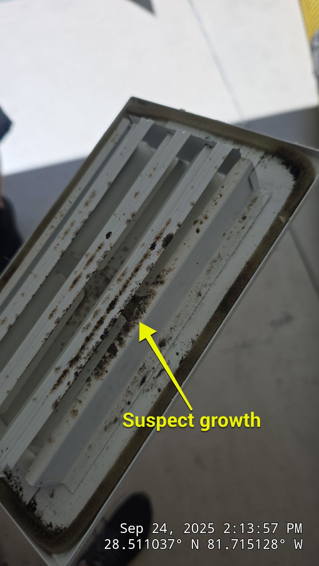 Boot Repair, Air Duct and Dryer Vent Cleaning in Clermont by Hygienic Air, Inc
