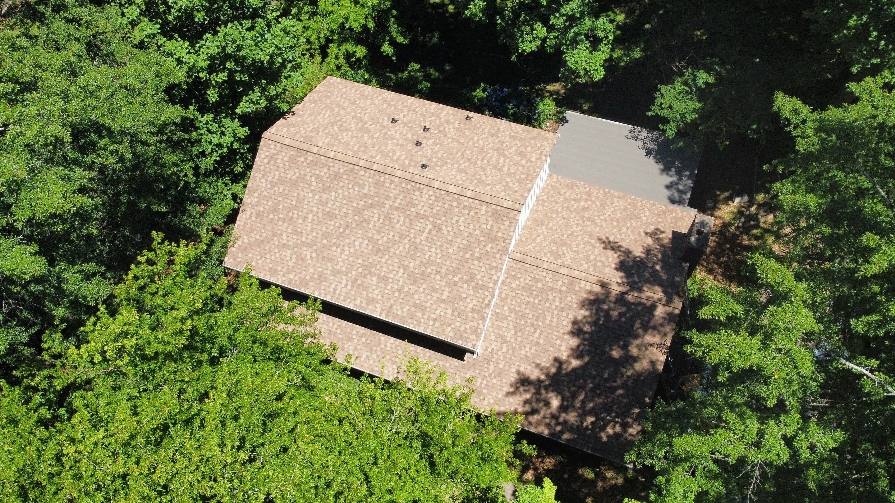 Roswell, GA Roof Replacement Atlas Pinnacle Pristine Morning Harvest by Reset Roofing
