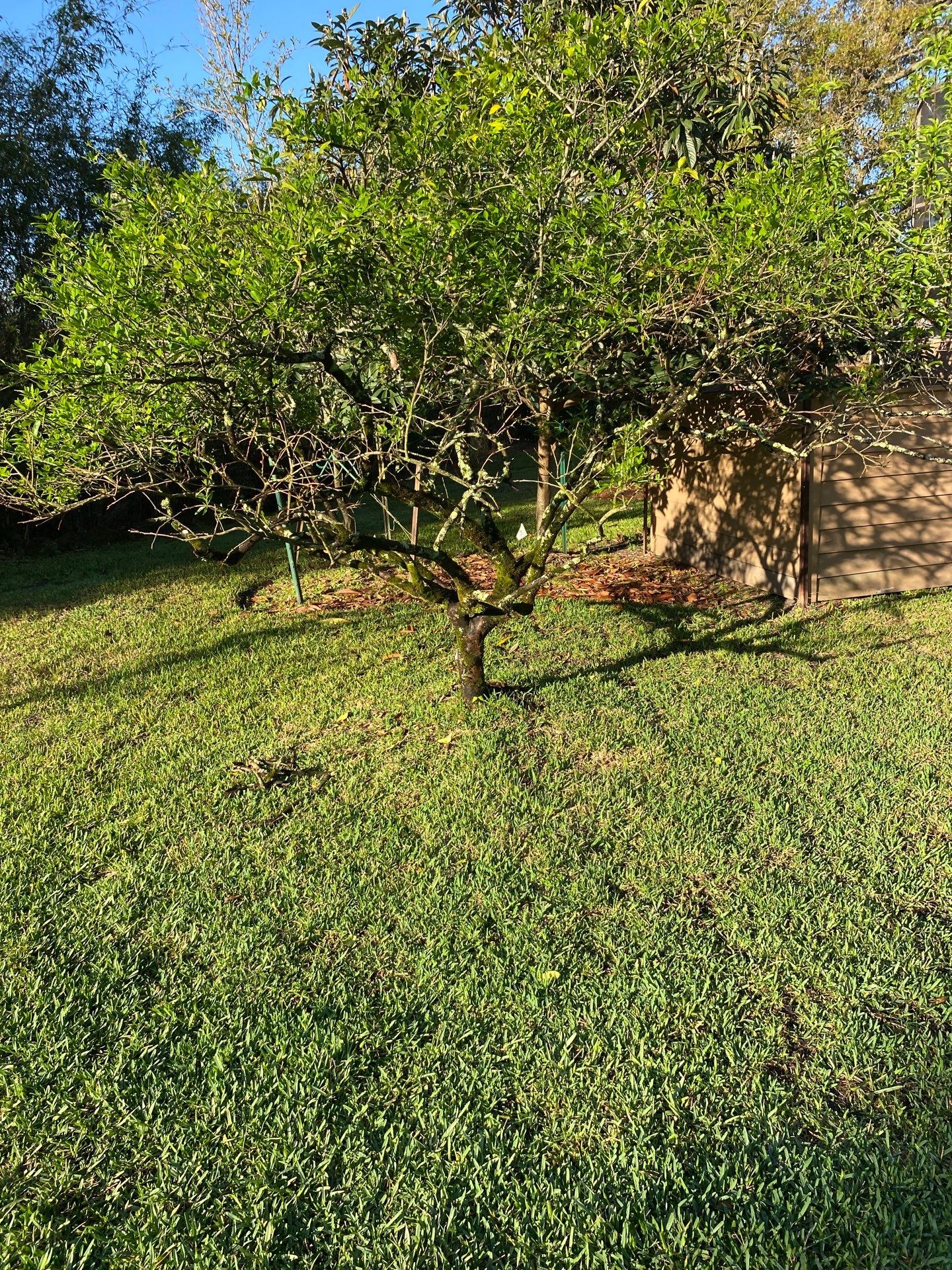 Deerwood Resident | Landscaping by ProGreen Services