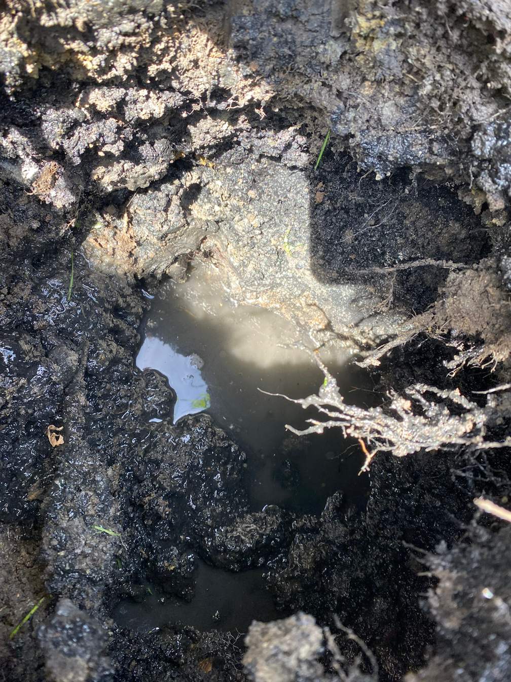 Camera Inspection from Tank Outlet to Drain Field by Allied Water Services