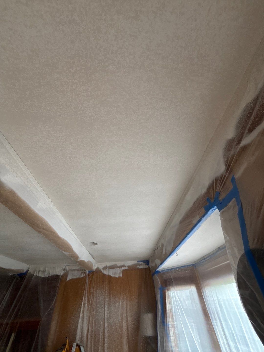Level Up Your Ceiling: Texture Removal & Refinishing by Cougar Painting