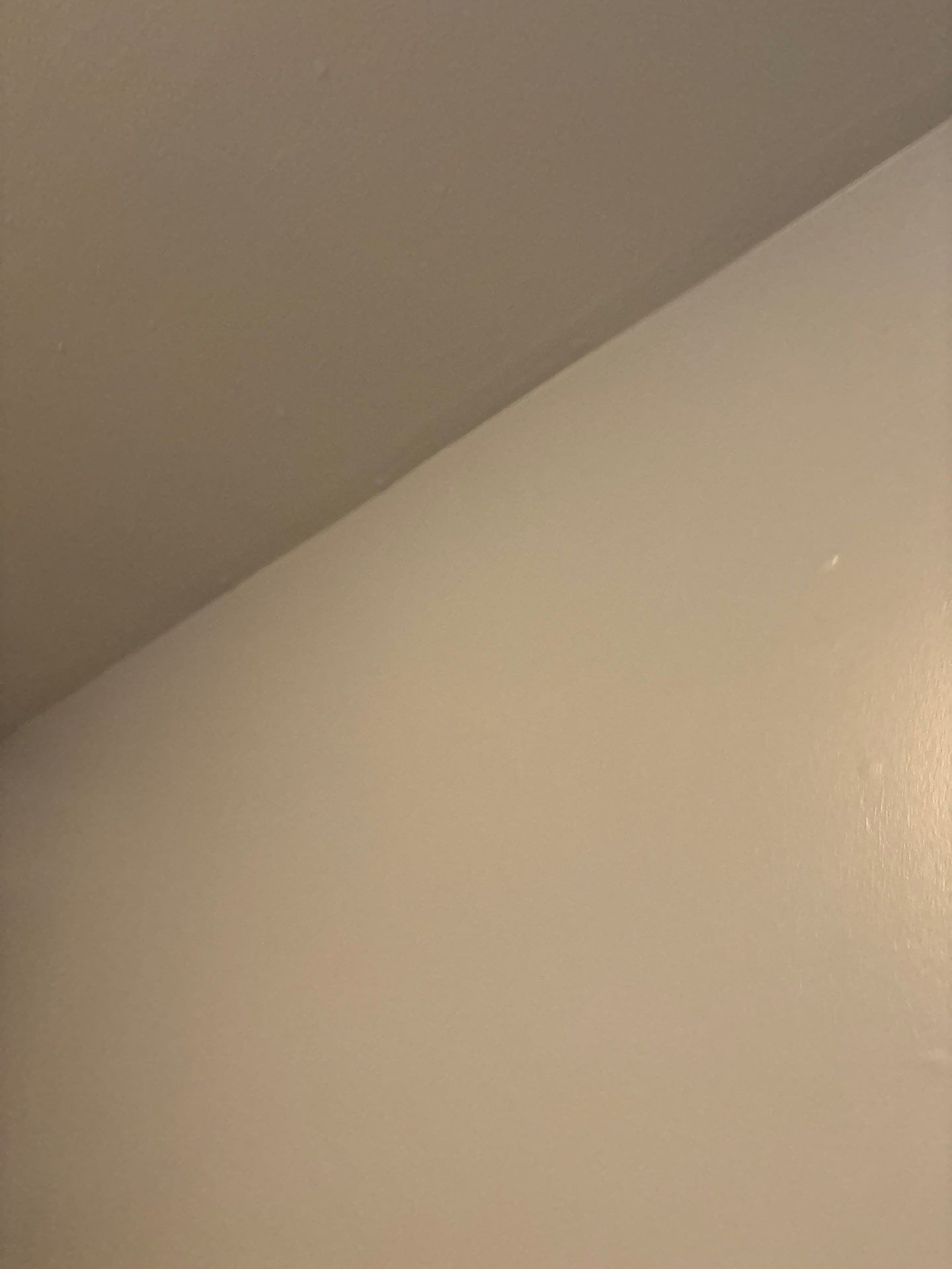 Interior Wall Refresh and Ceiling Fixture Installation in Denver by CompanyCam Sales Demo