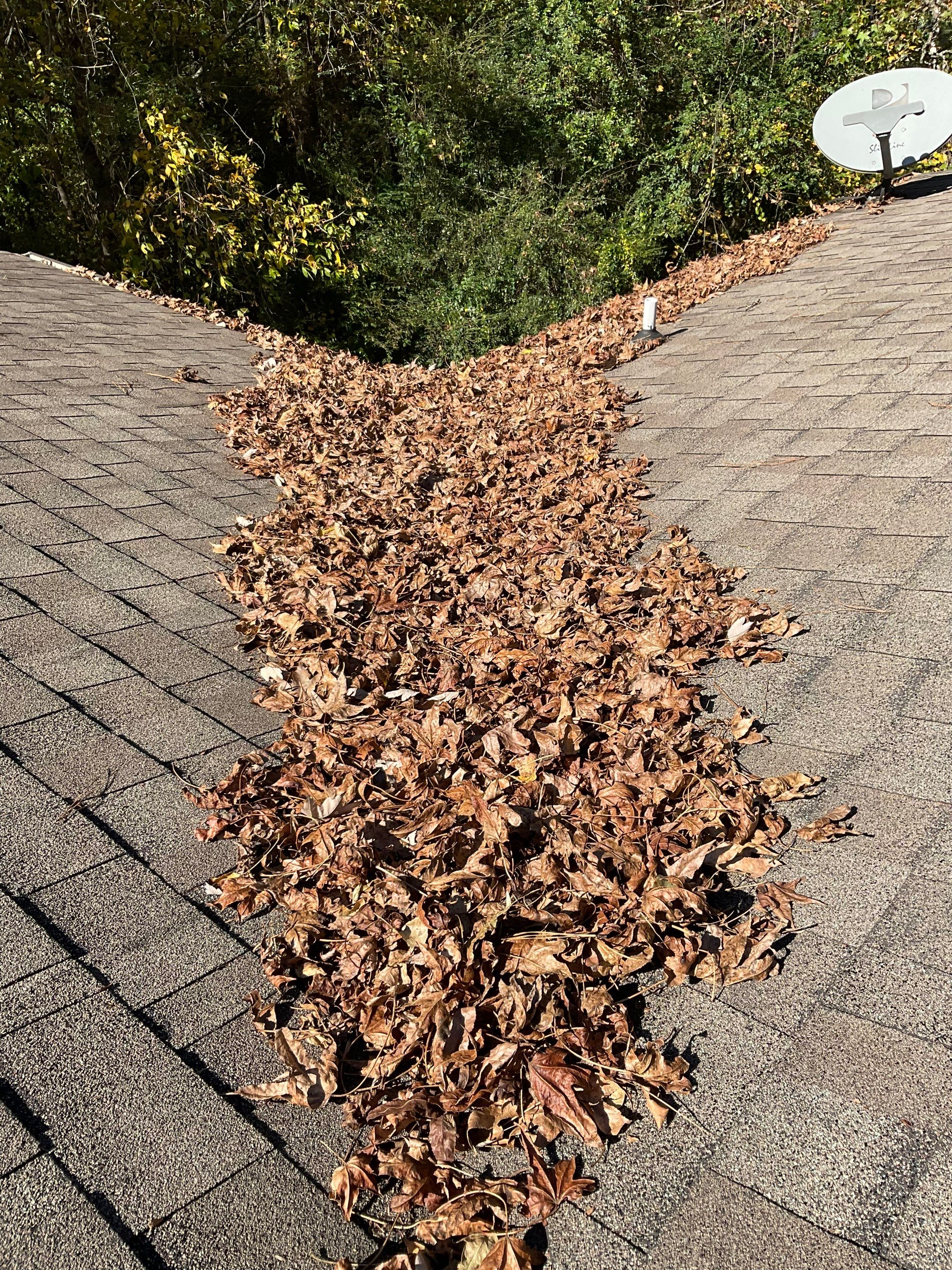 Gutter Cleaning by Bullard Roofing
