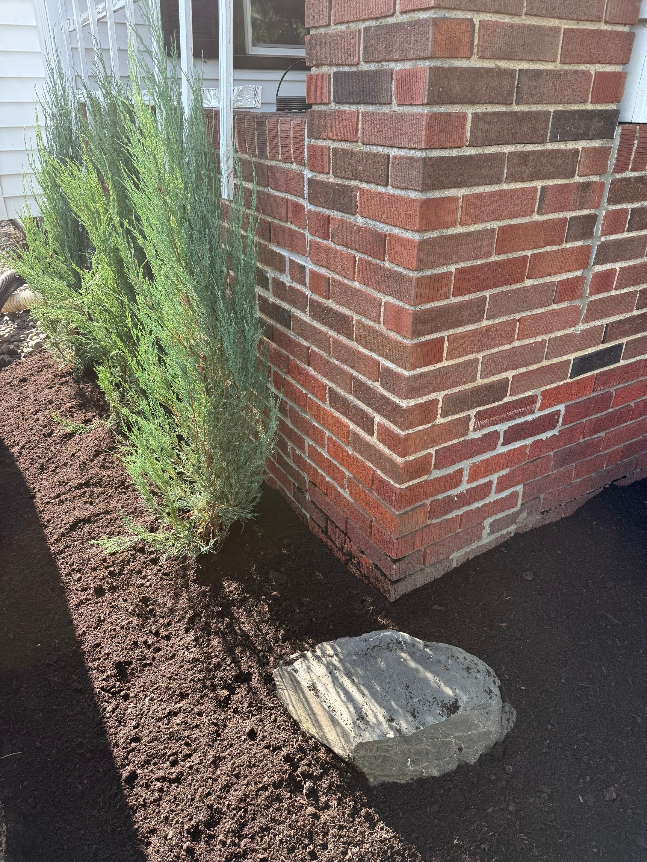 Modern Magnolia Project by Elm Rose Gardens