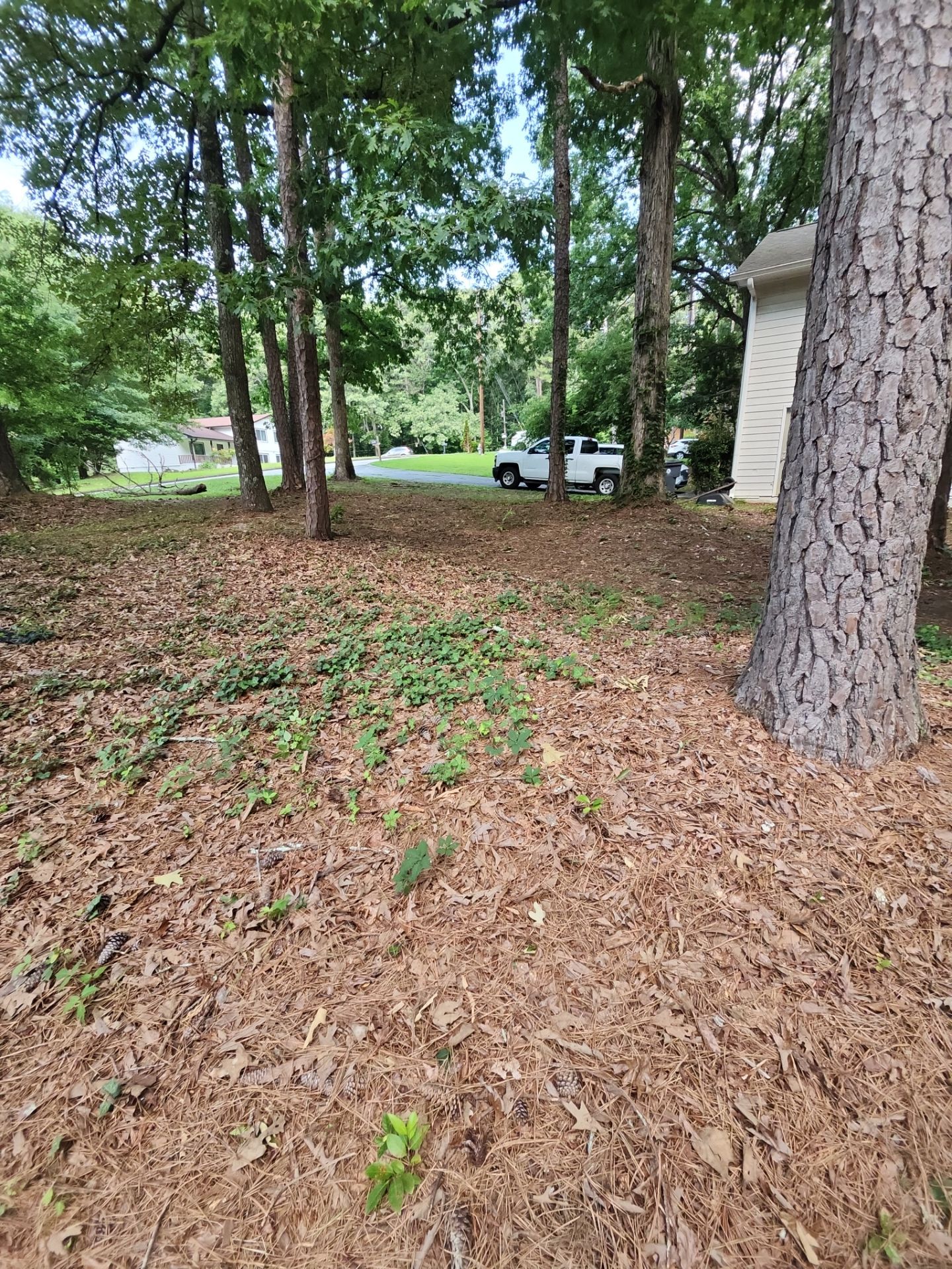 Project in Riverdale, GA by Task Masters Handyman Services, LLC