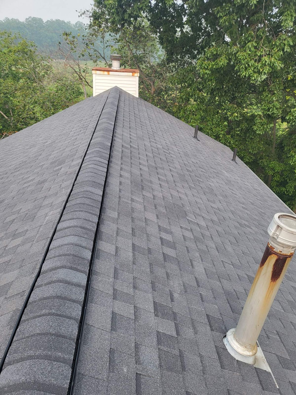 Davonne Bird by Silver Leaf Contracting 