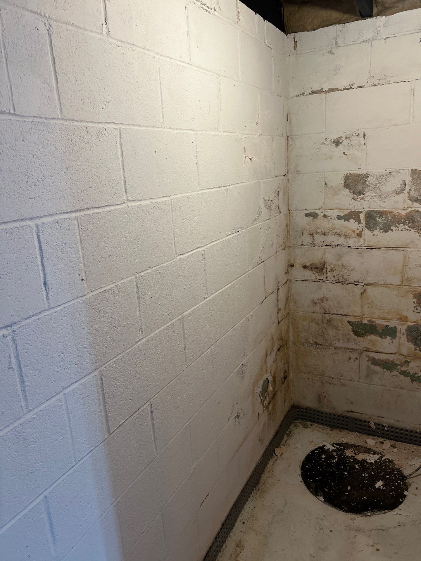 Phoenixville Basement Mold Remediation and Sanitation by Right On Time Restoration