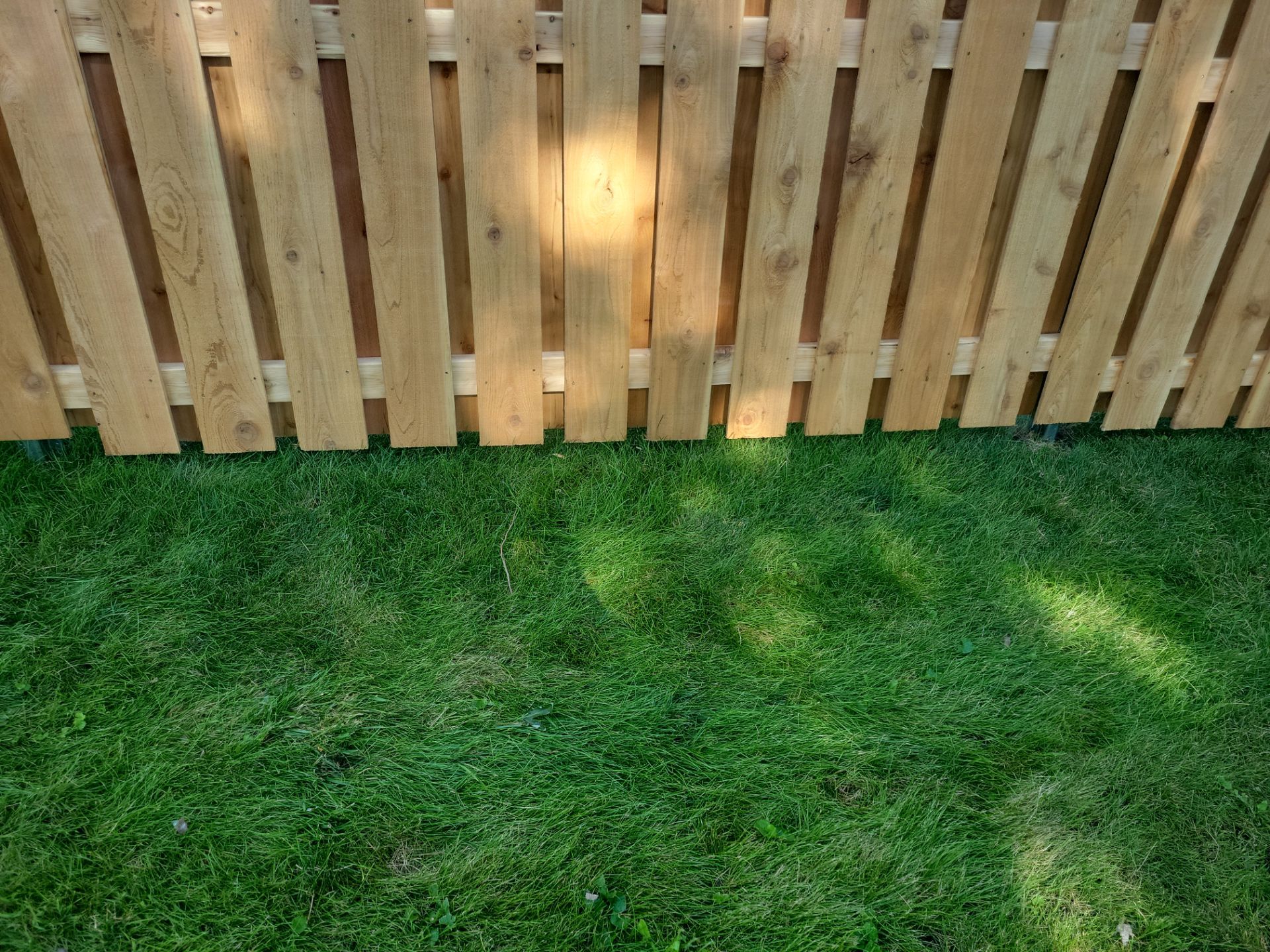 Unstained Cedar Wood Privacy Fence Installation in Cedar Falls by Perfect Picket Fence and Stain
