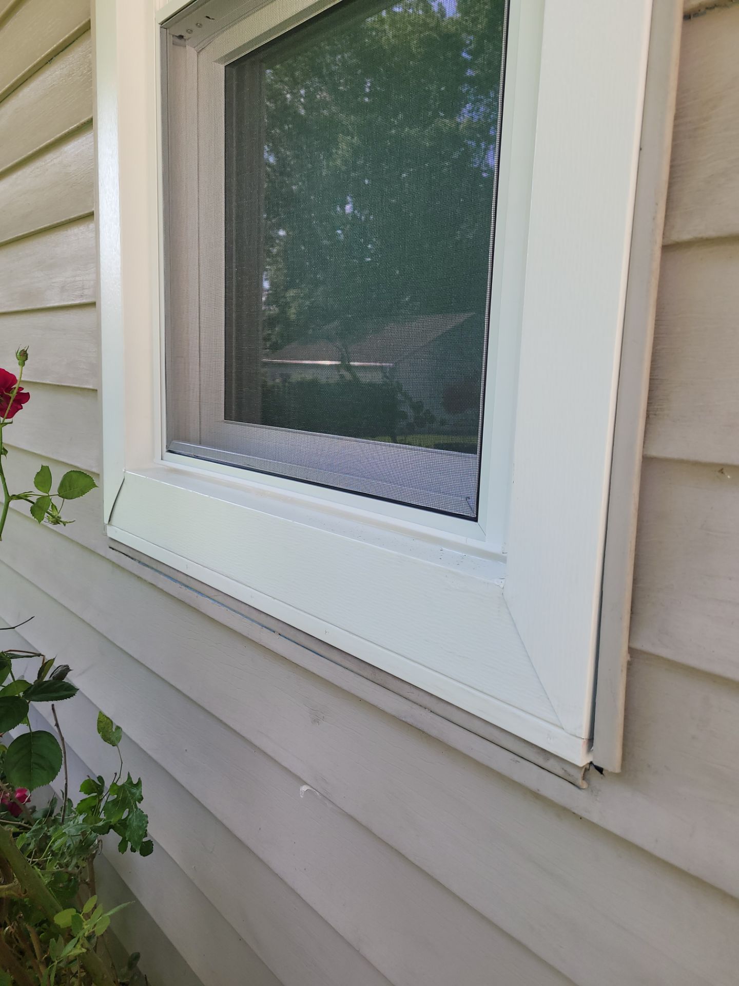 Jeannette Stewart by Silver Leaf Contracting 