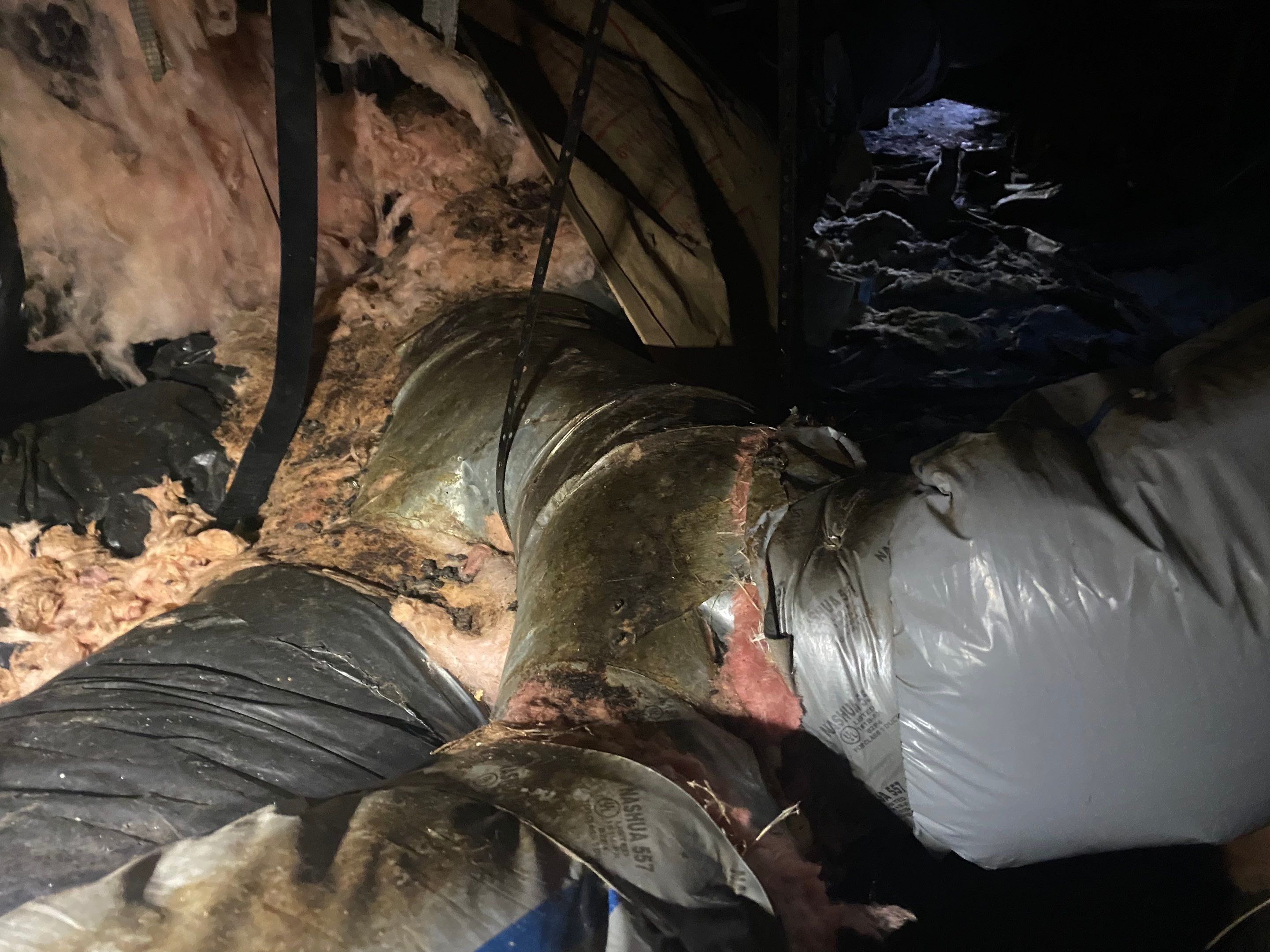 Crawlspace Transformation by Hausmeister Home Services INC