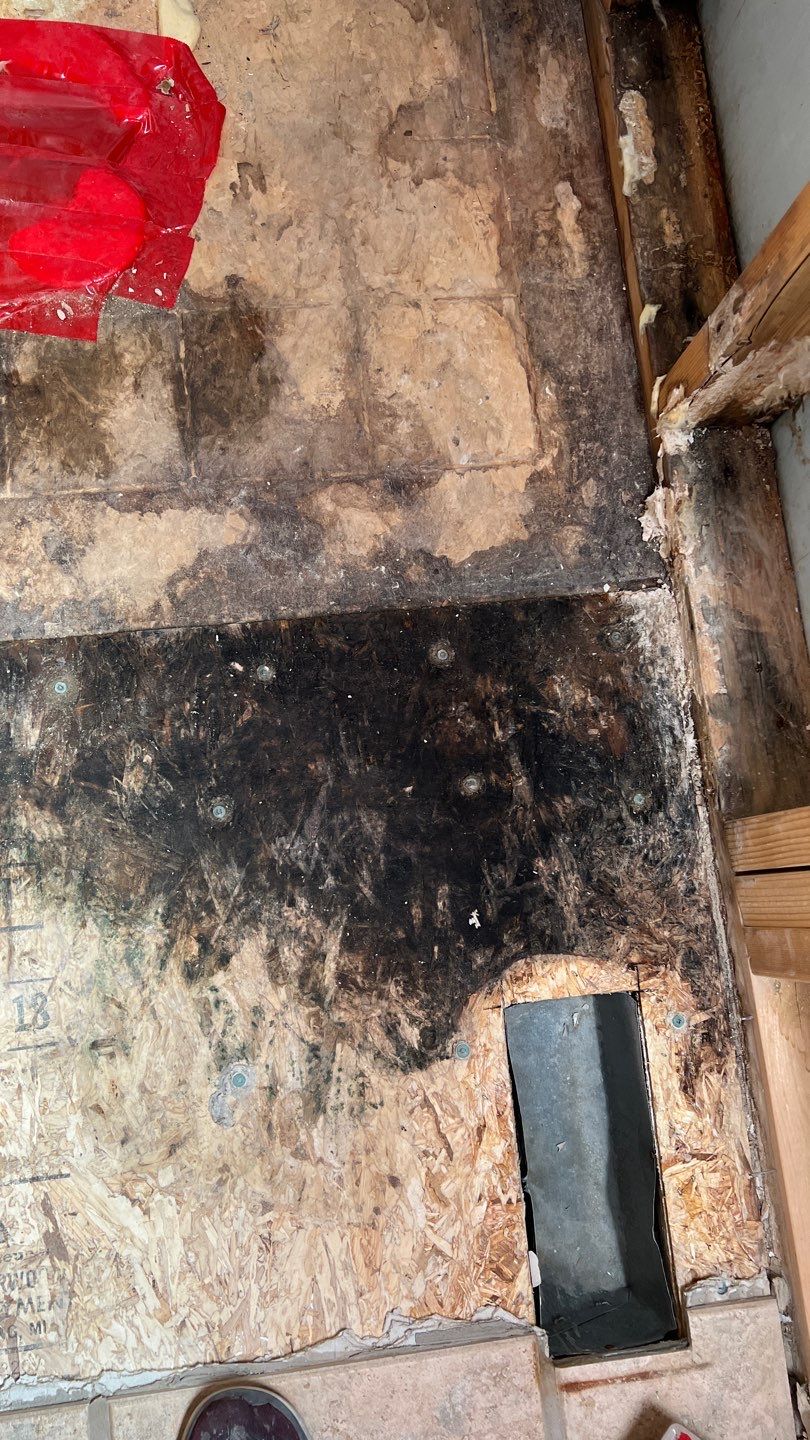 Water Damage and Mold Remediation by Accountable Home Services