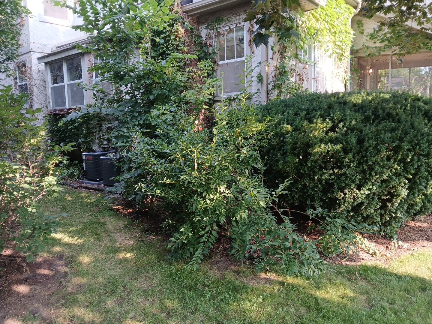 Suzanne V. - Mount Prospect, IL by A&N 