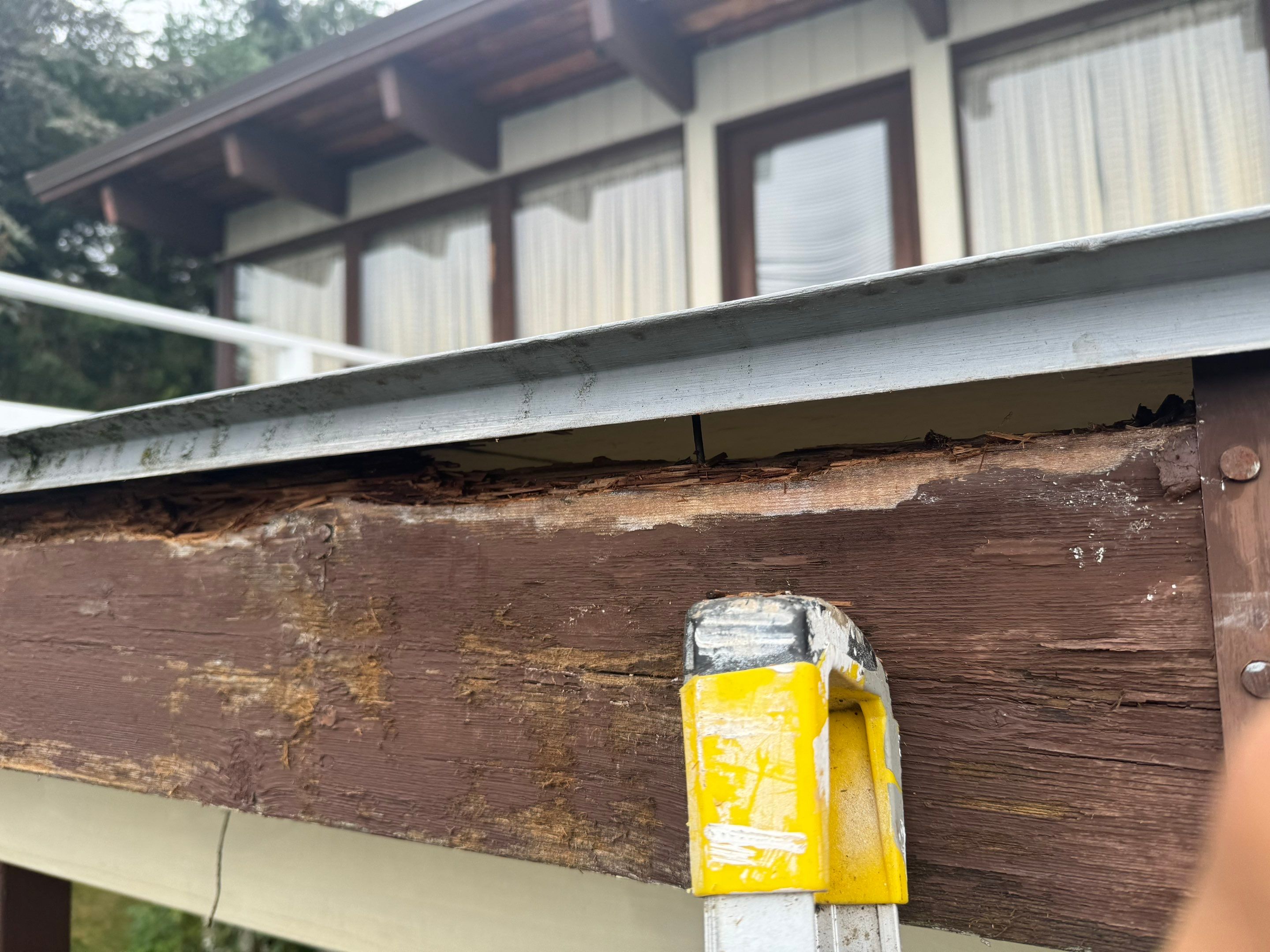 Exterior Window Trim Painting In North Vancouver  by YVR Construction Group