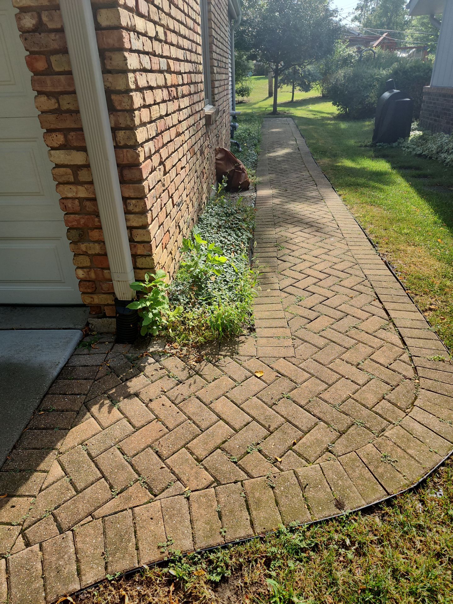Arlington Heights Brick paver repair, cleaning and sealing by Northern Power Washing LLC.