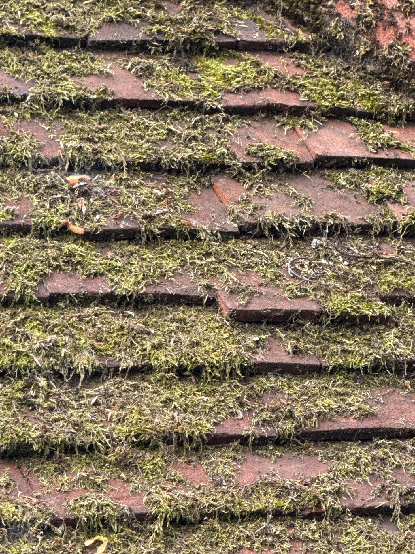 Roof - Driveway Clean -Patio Clean by Ges Exterior Cleaning ltd