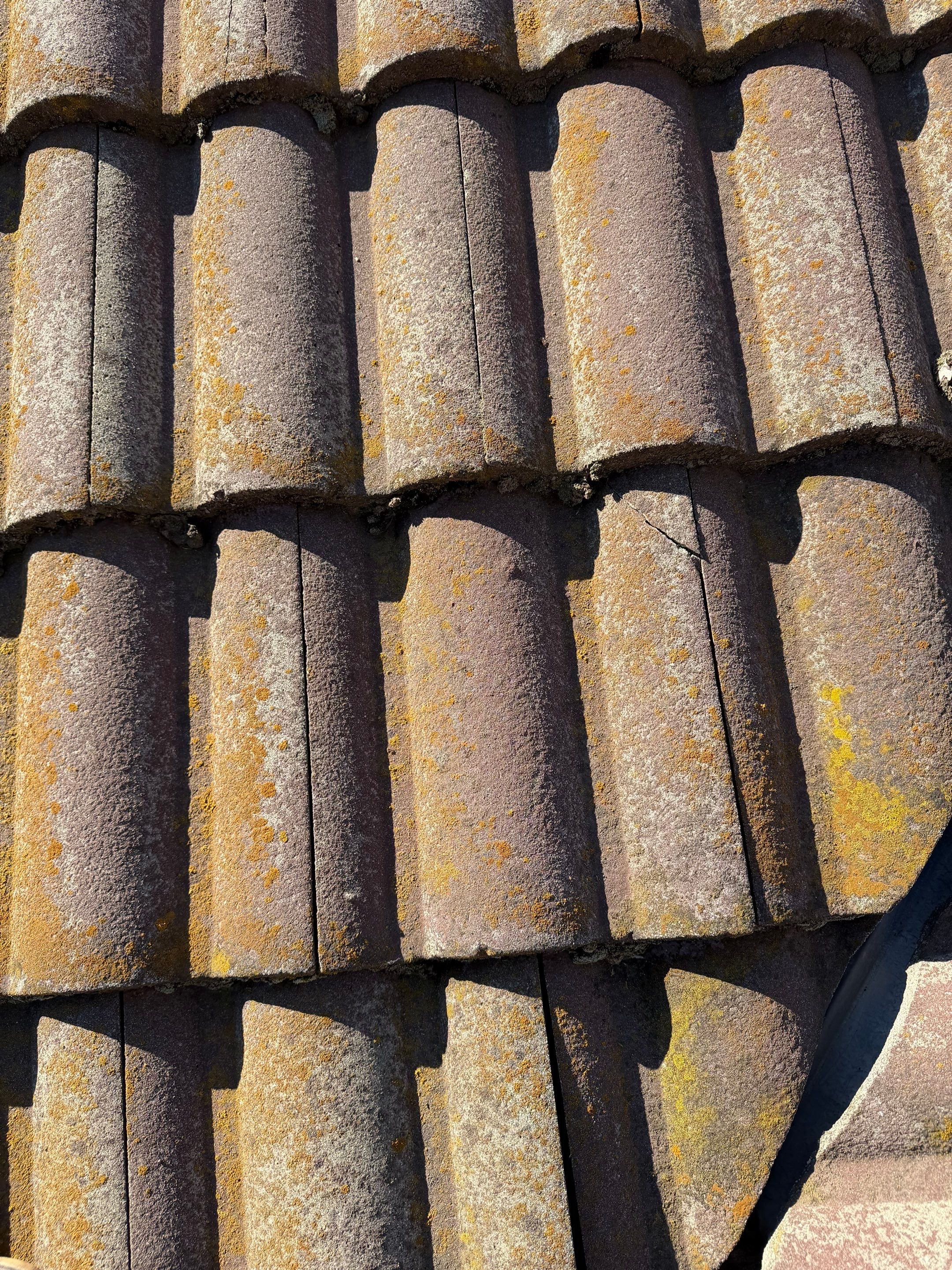 Project in Citrus Heights  by NuLead Construction Inc