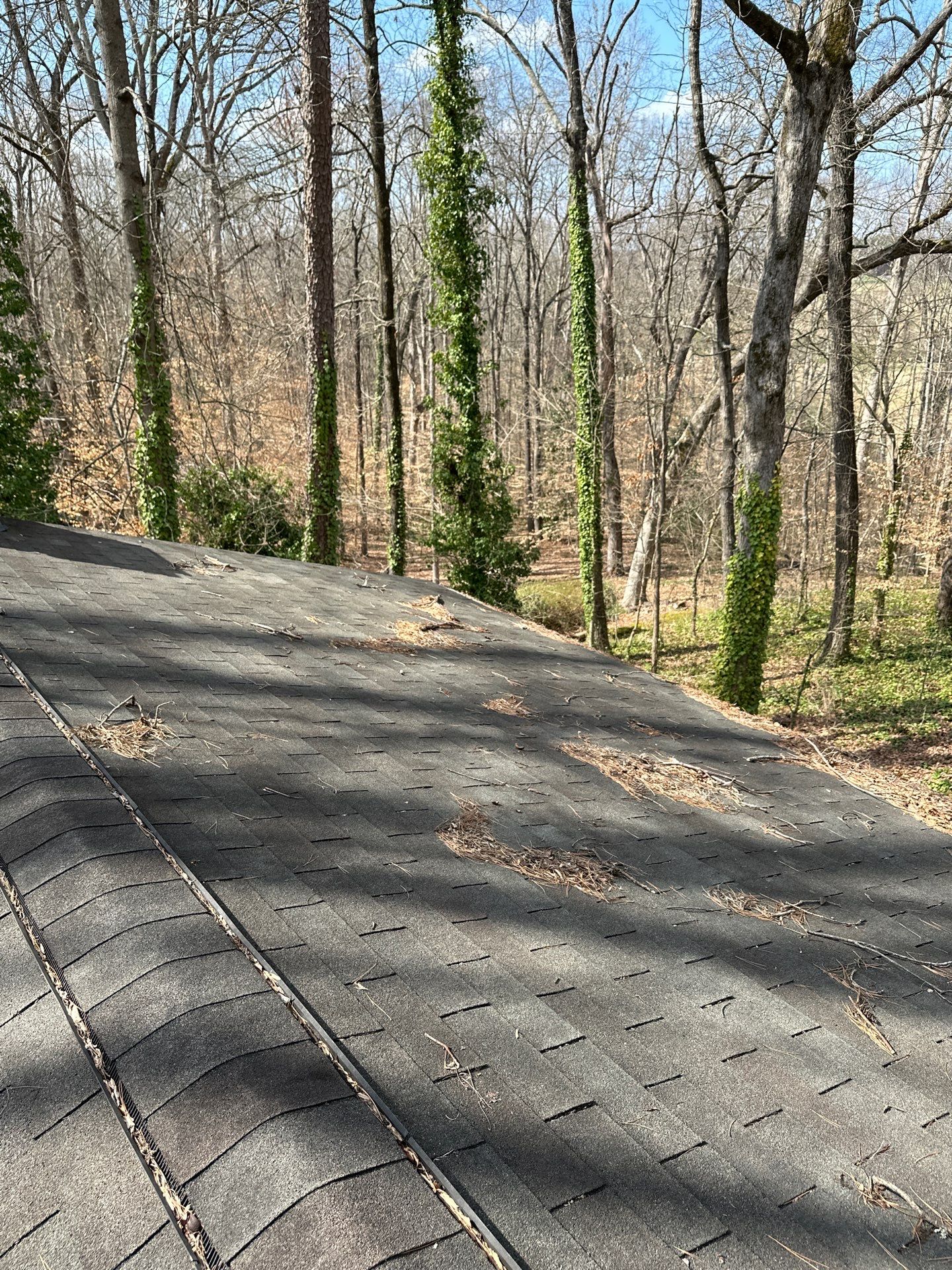 Morabit Clemson by United Contracting and Roofing