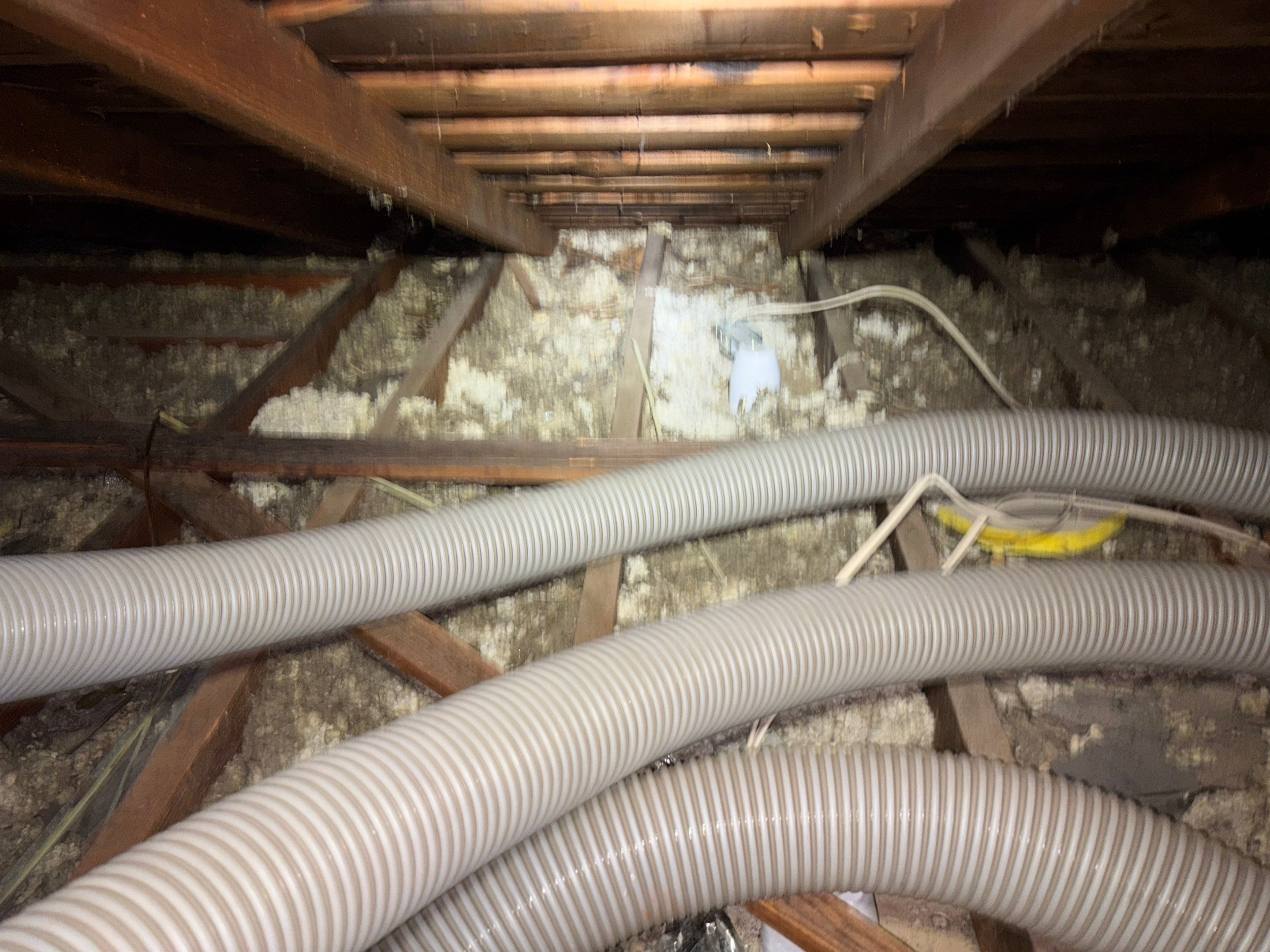 Project in Van Nuys by Insulation Labs