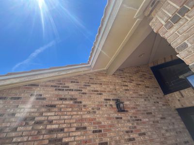 Project in St. Petersburg