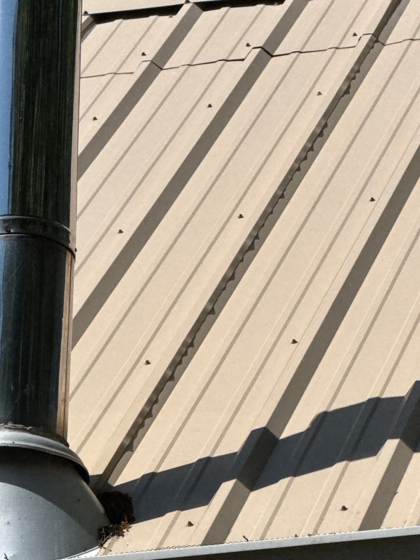 Roof Replacement in Cottondale (Light Stone) by The Roofing Dudes