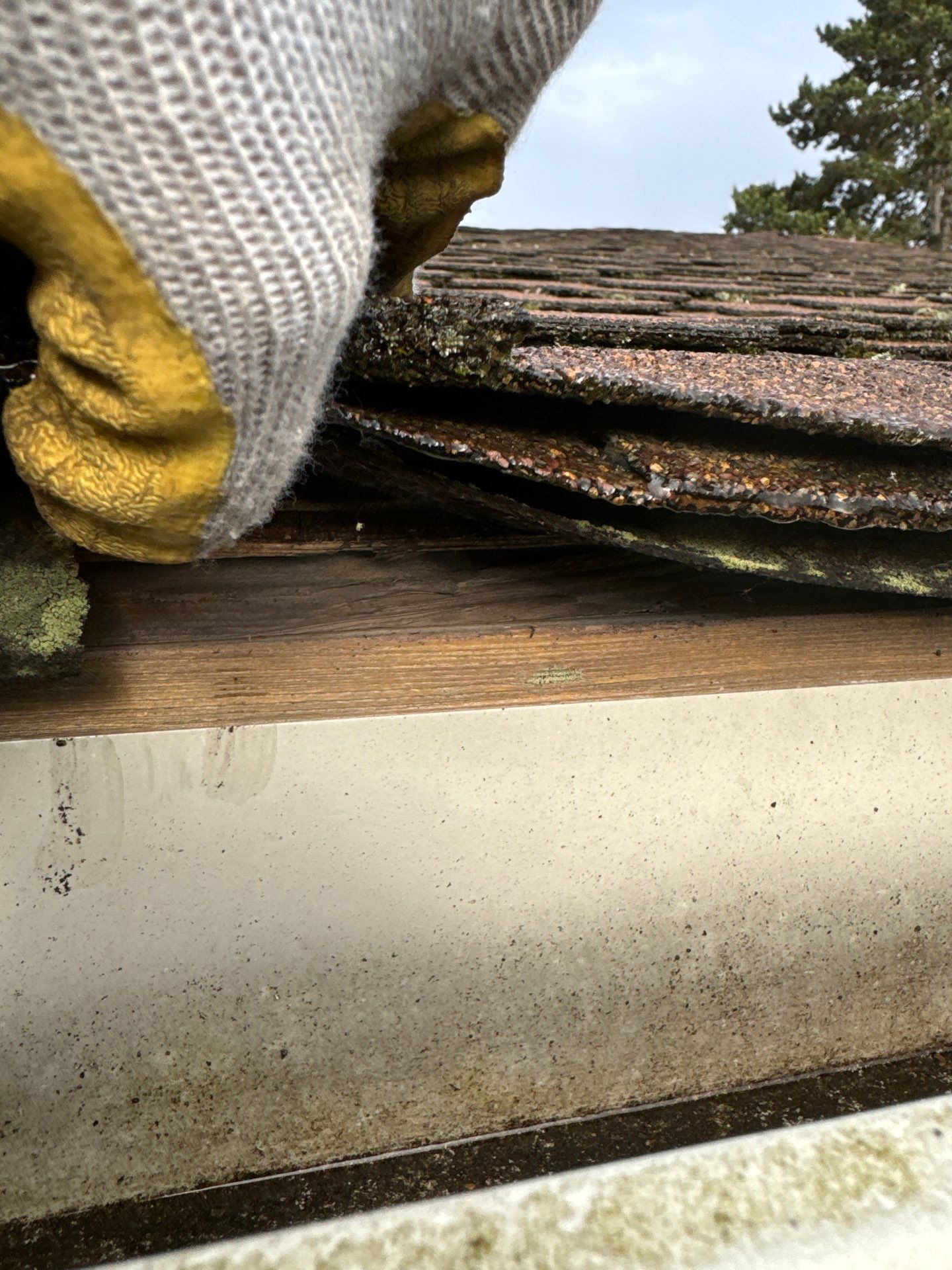Project in Seattle by Peaks and Valleys Construction