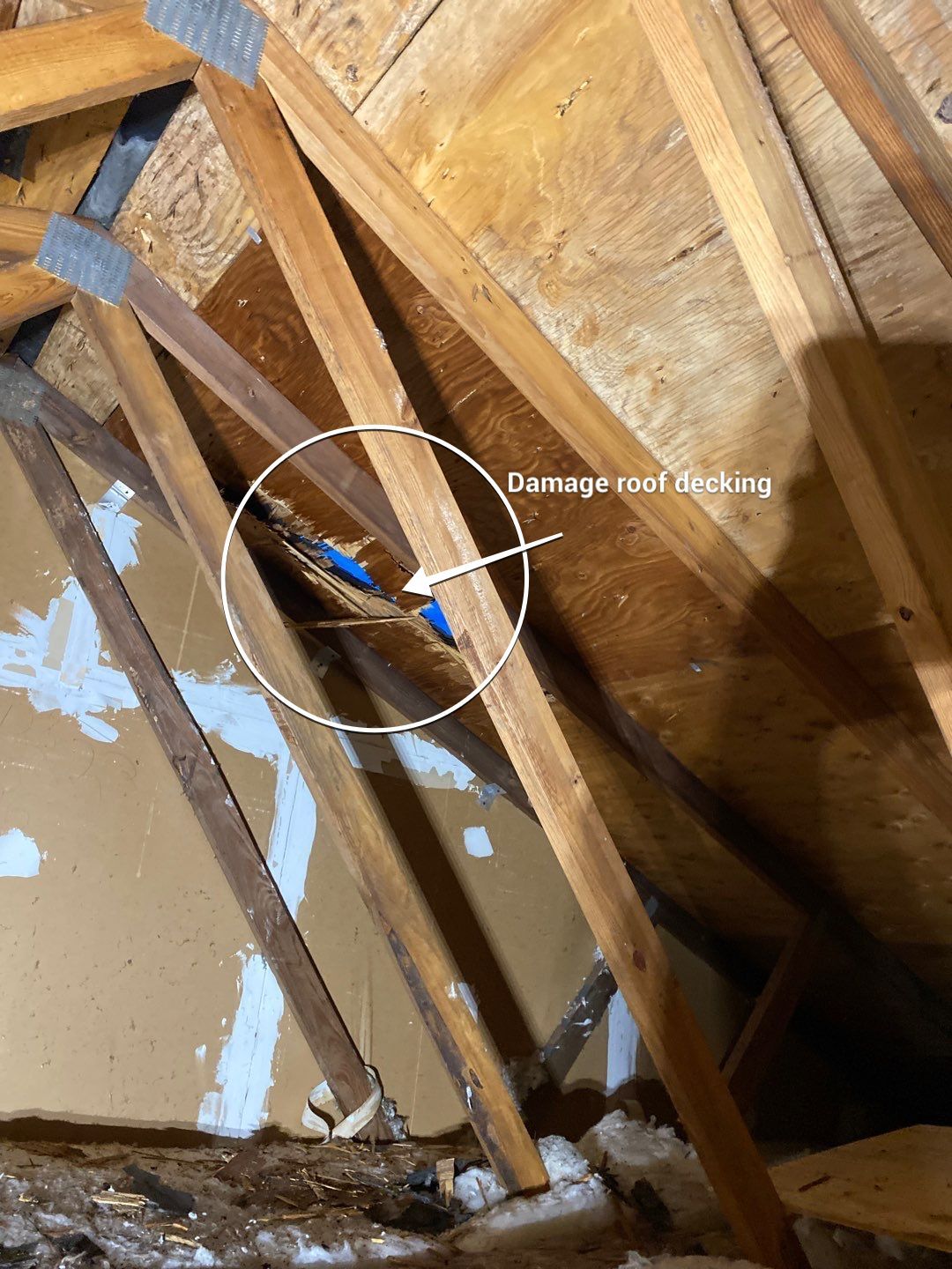 Roof Repair  by Alpha Design Services