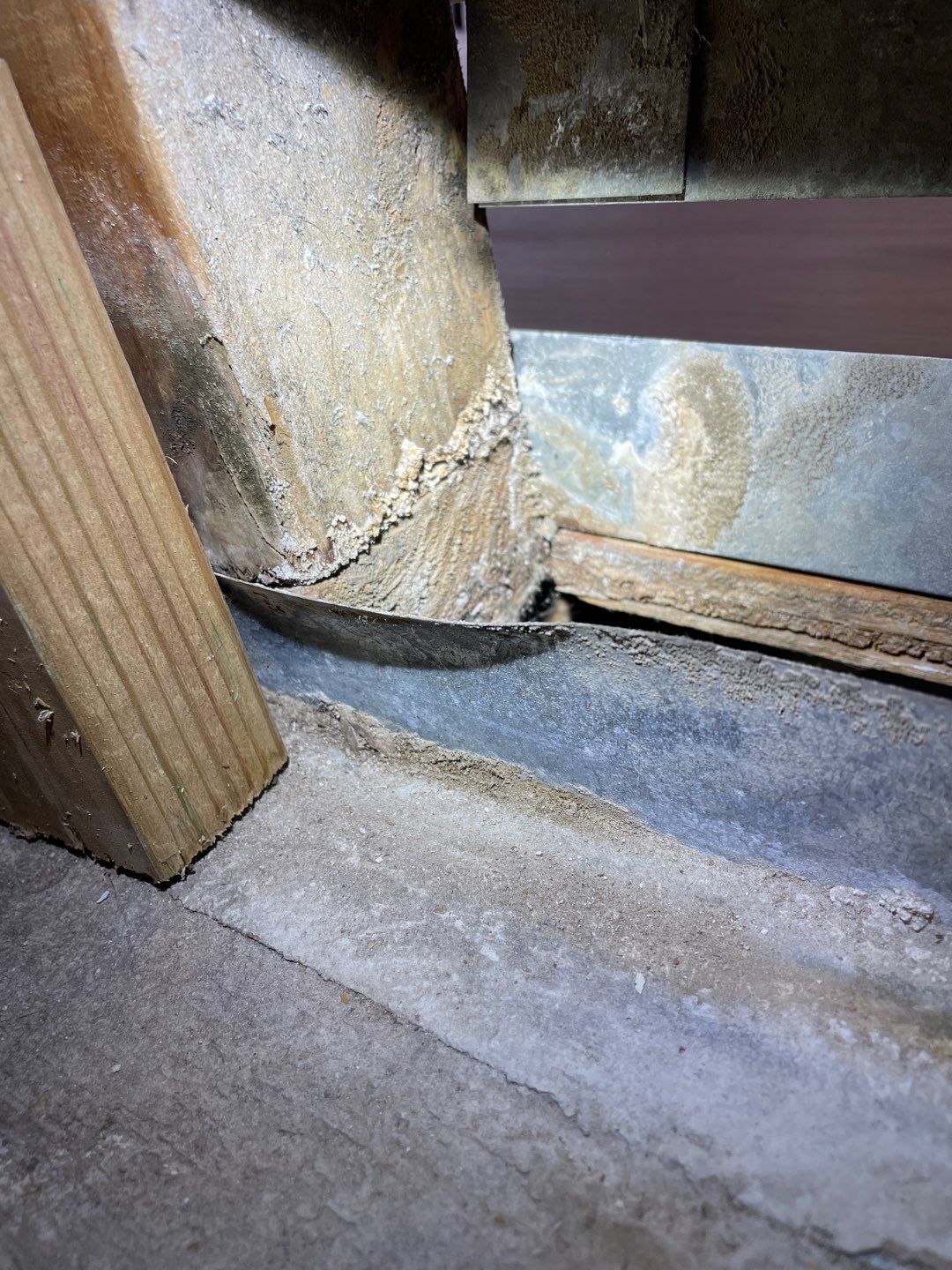 Mold Damage Project in Littleton by Accountable Home Services